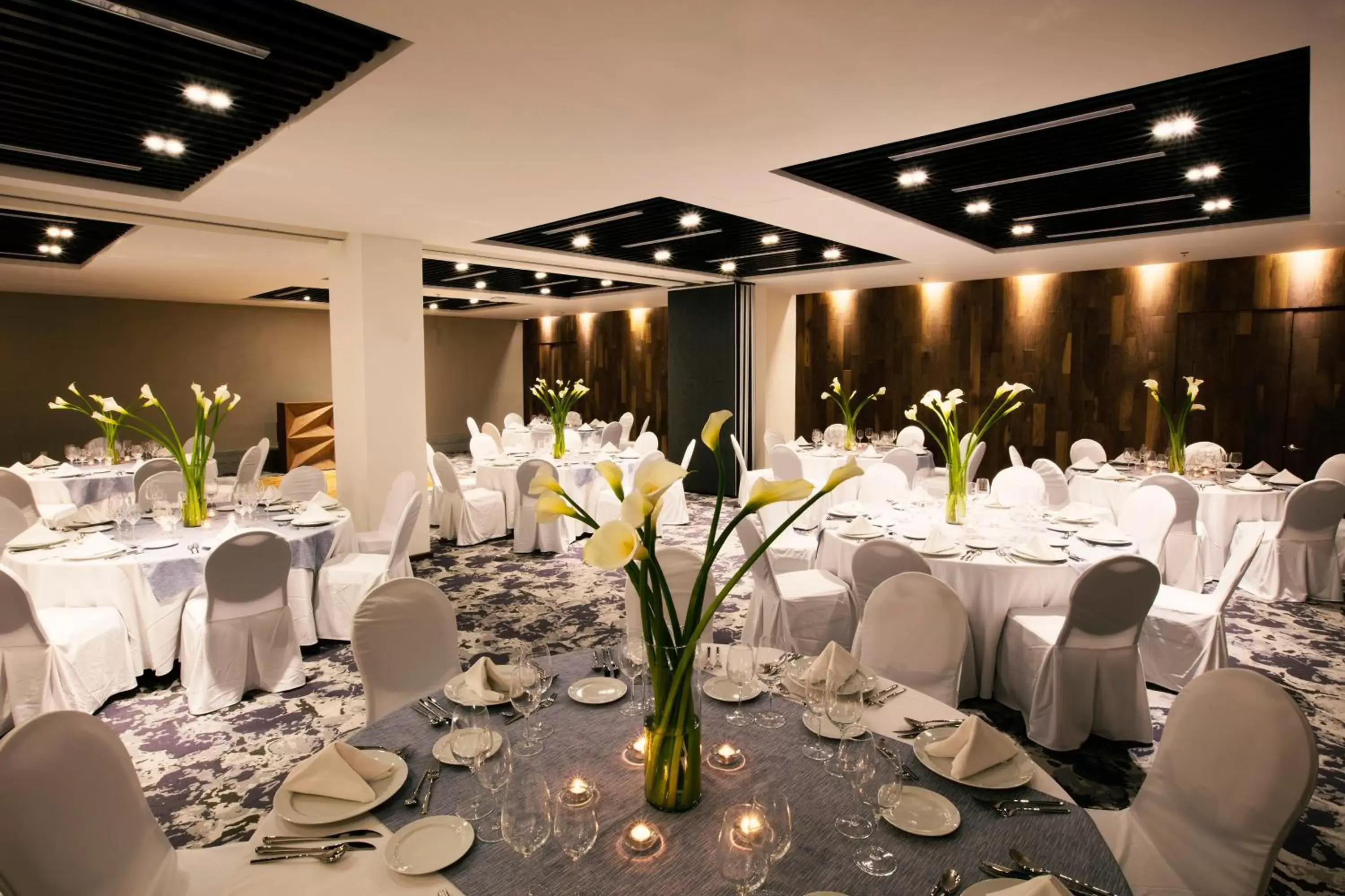 Banquet/Function facilities, Banquet Facilities in Krystal Grand Suites Insurgentes