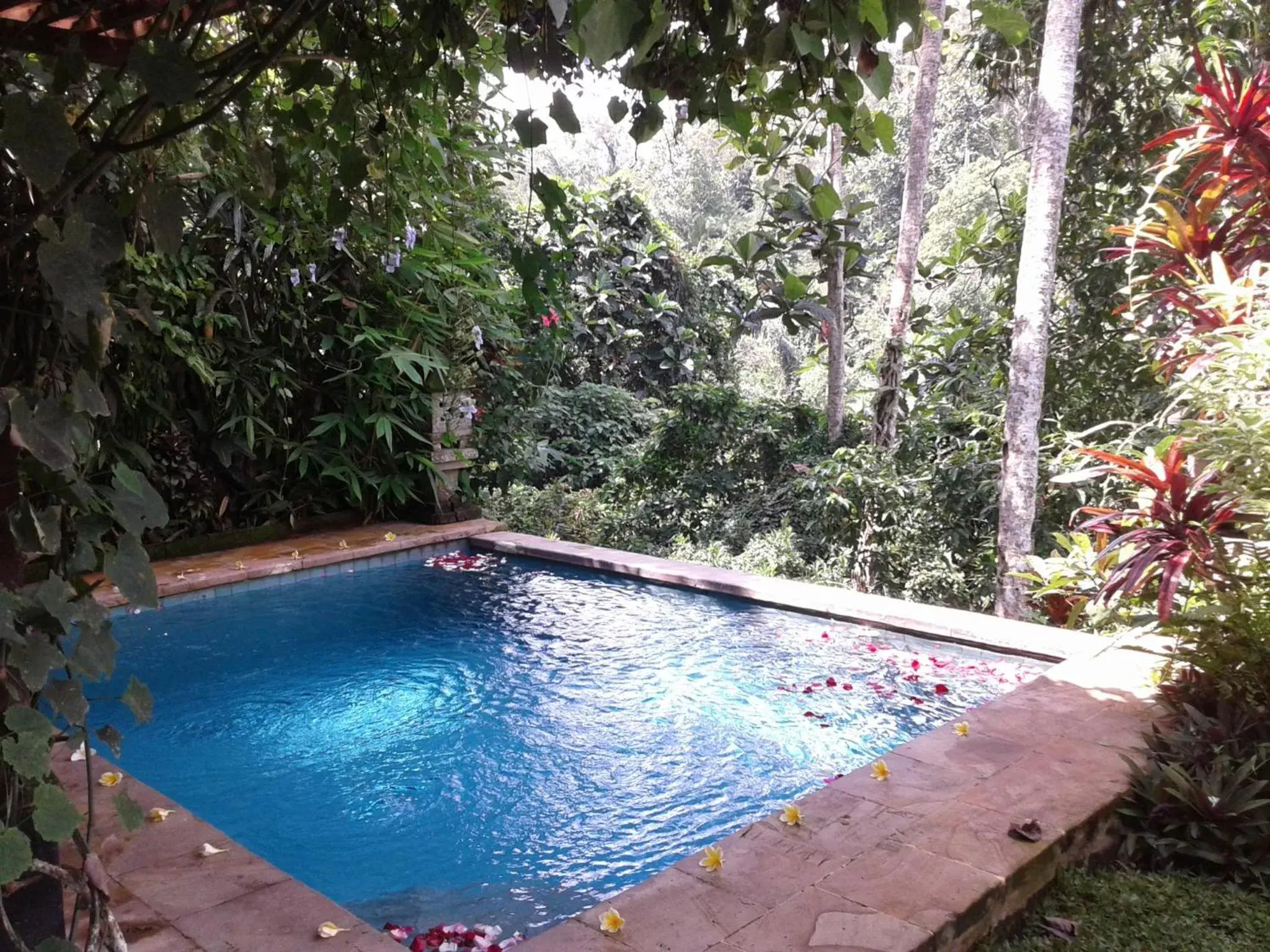 Pool view, Swimming Pool in Anahata Villas and Spa Resort