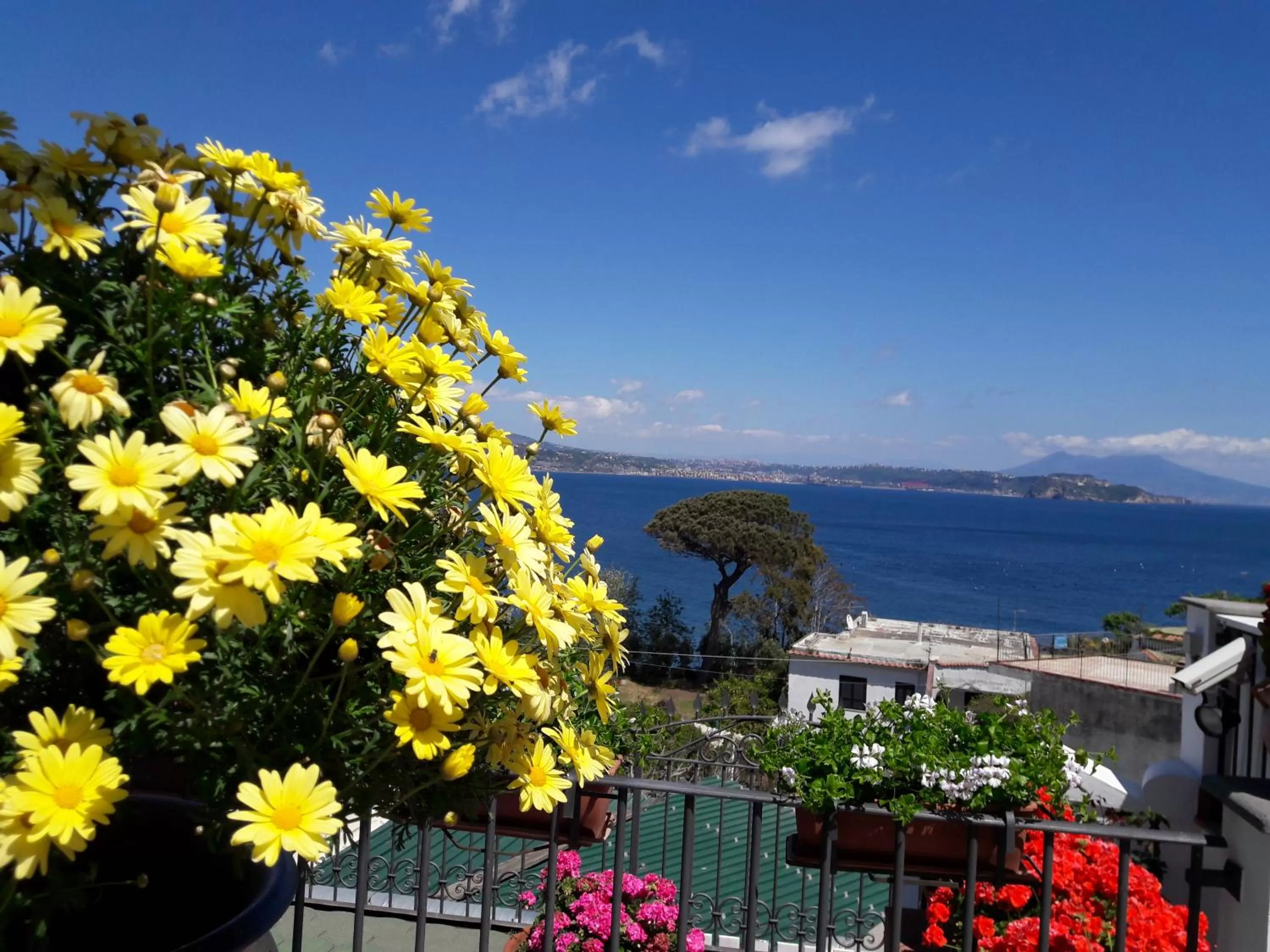 Sea view in b&b Dea Fortuna