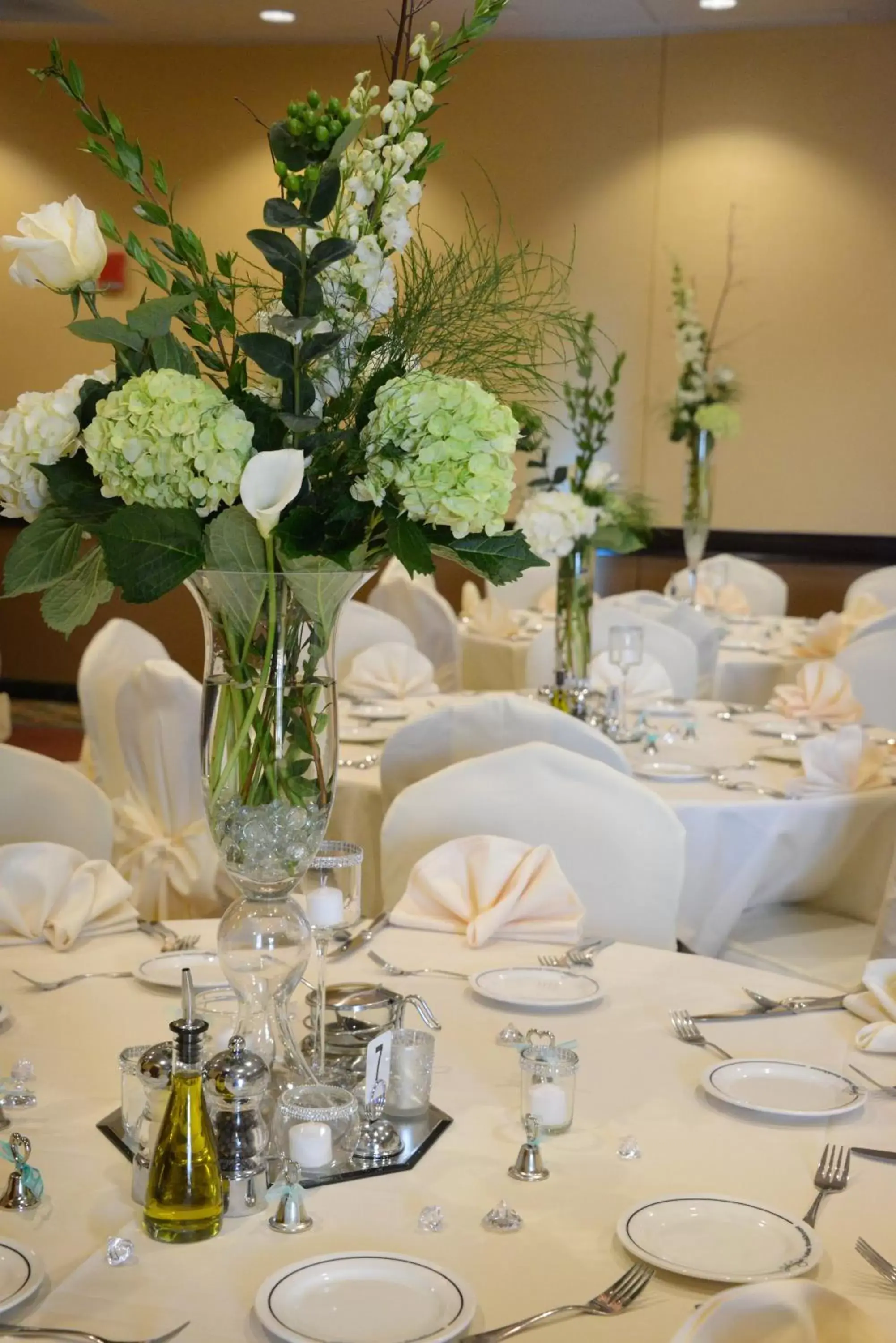 Banquet/Function facilities, Banquet Facilities in Holiday Inn Eau Claire South, an IHG Hotel