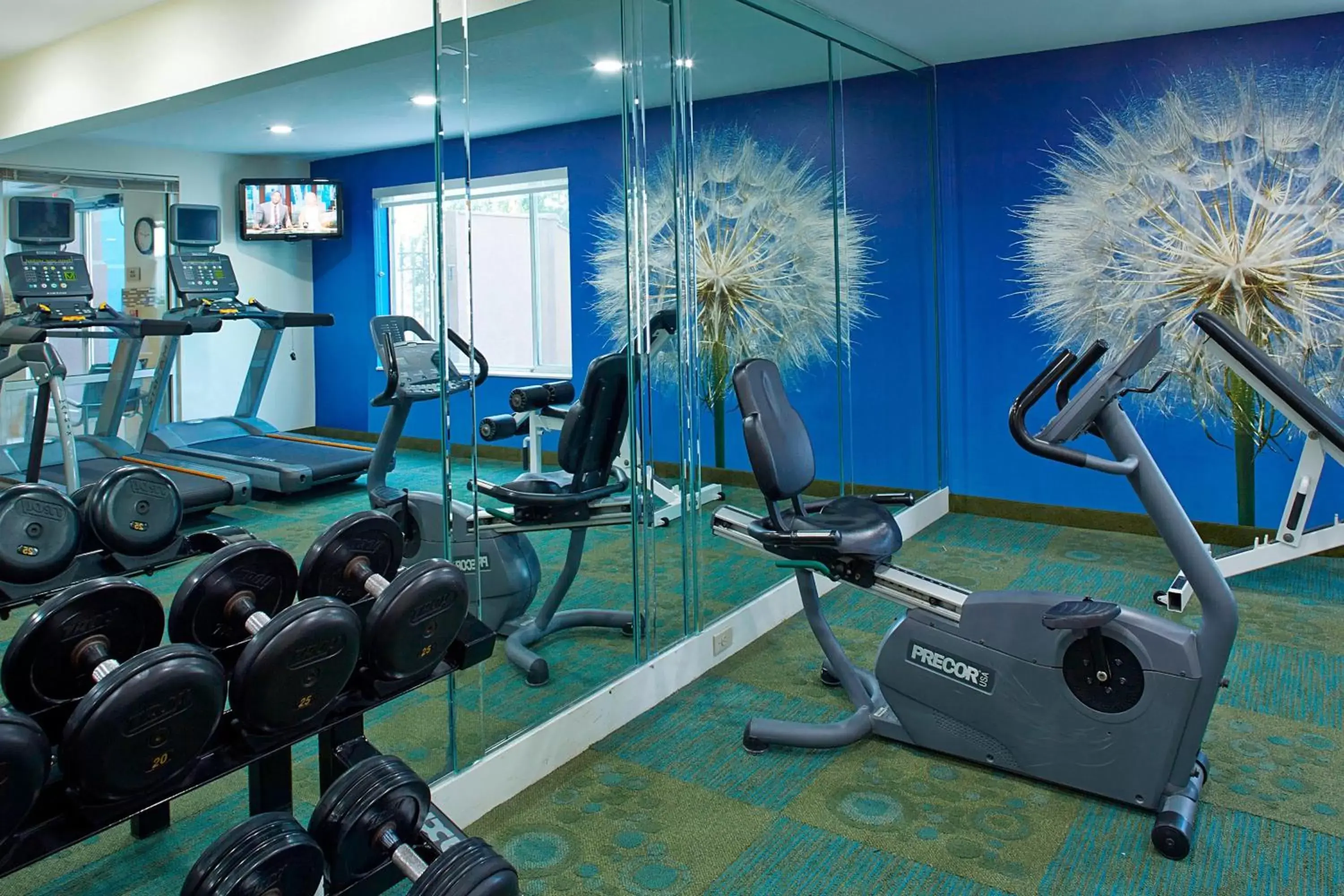 Fitness centre/facilities, Fitness Center/Facilities in SpringHill Suites by Marriott Atlanta Six Flags