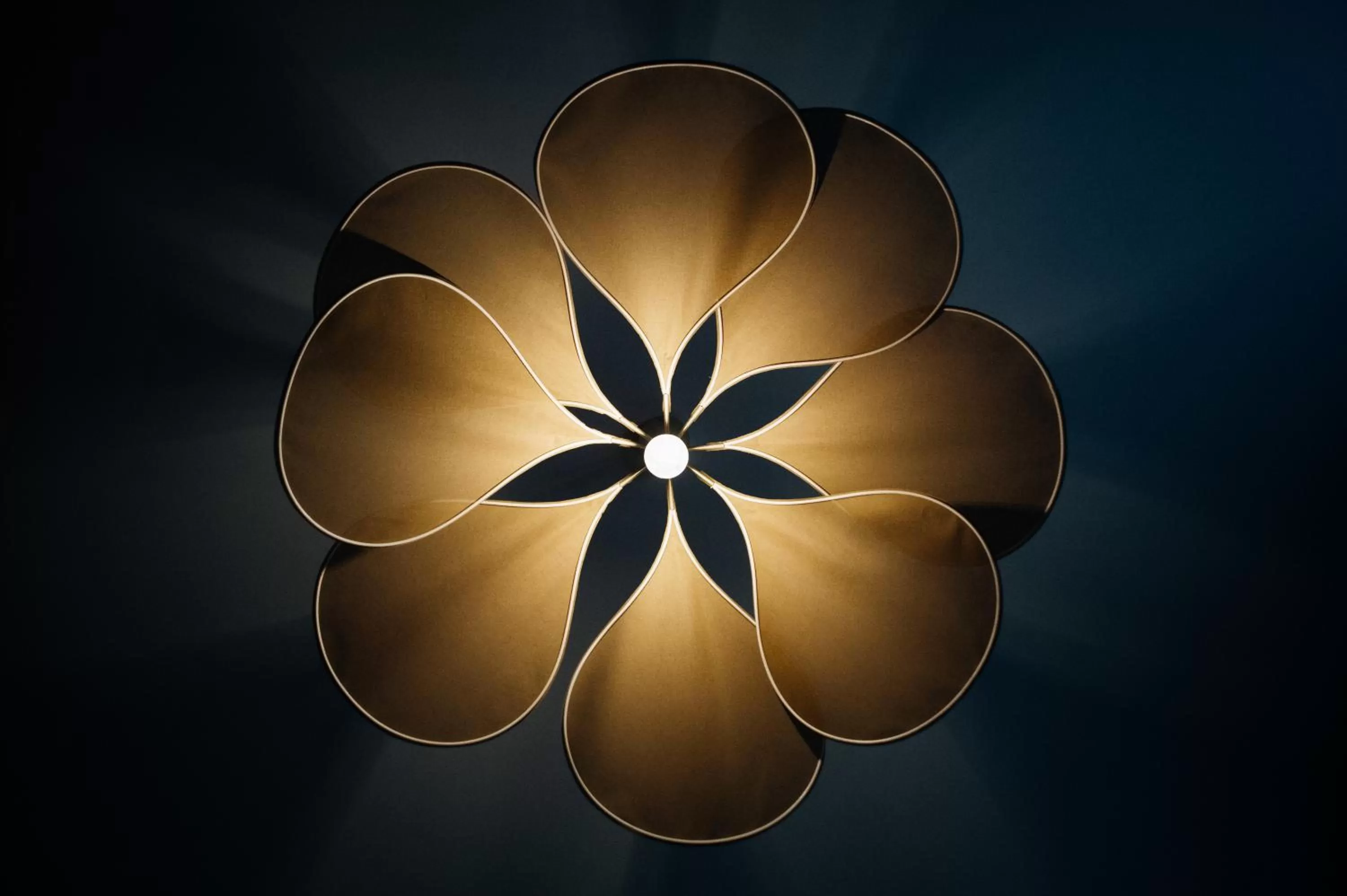 Decorative detail in Hotel de Fouquet - Chambres d'hôtes