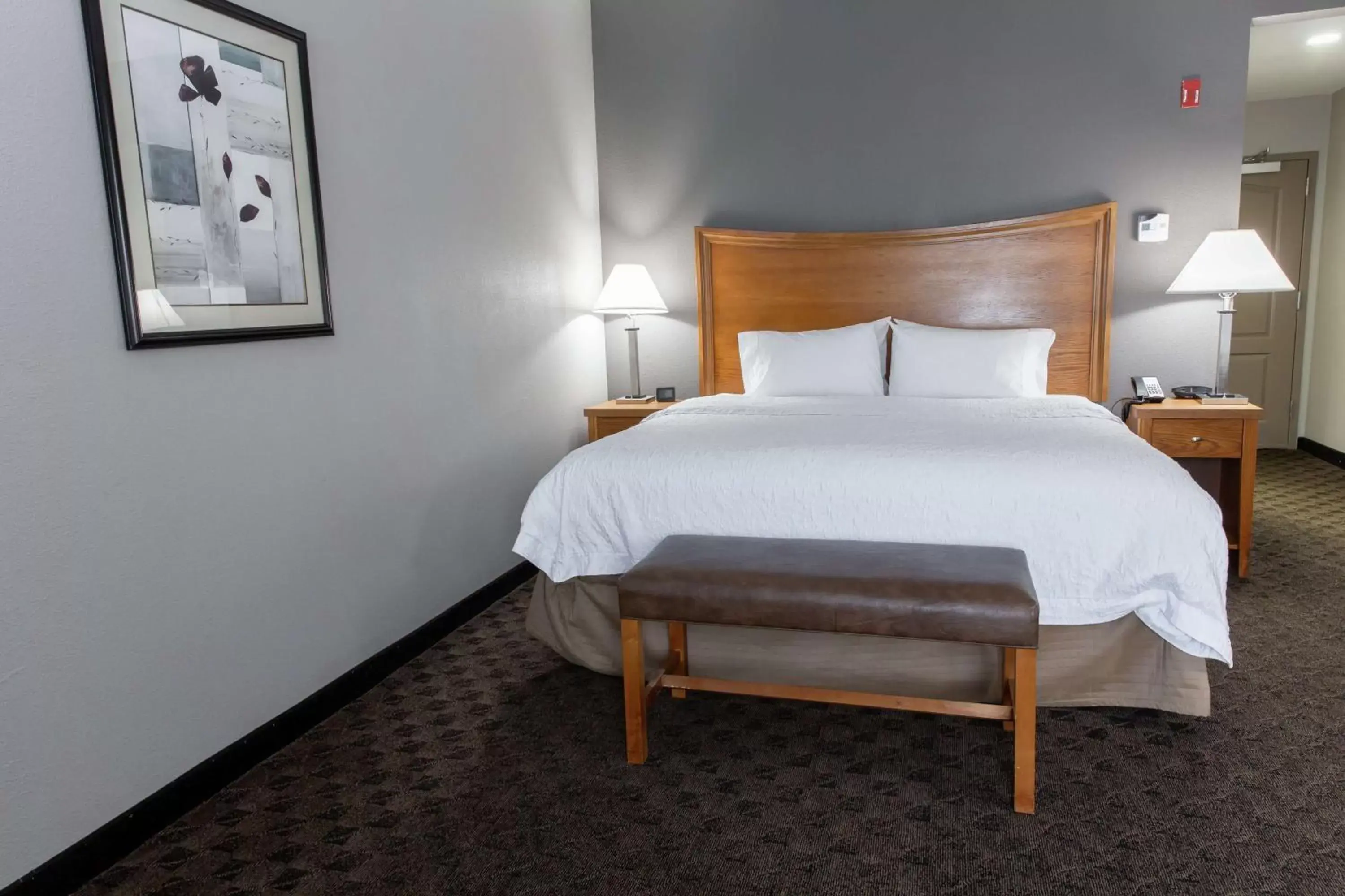 King Studio Suite with Sofa Bed - Non-Smoking in Hampton Inn & Suites Chesapeake-Square Mall King Studio Suite with Sofa Bed - Non-Smoking in Hampton Inn & Suites Chesapeake-Square Mall