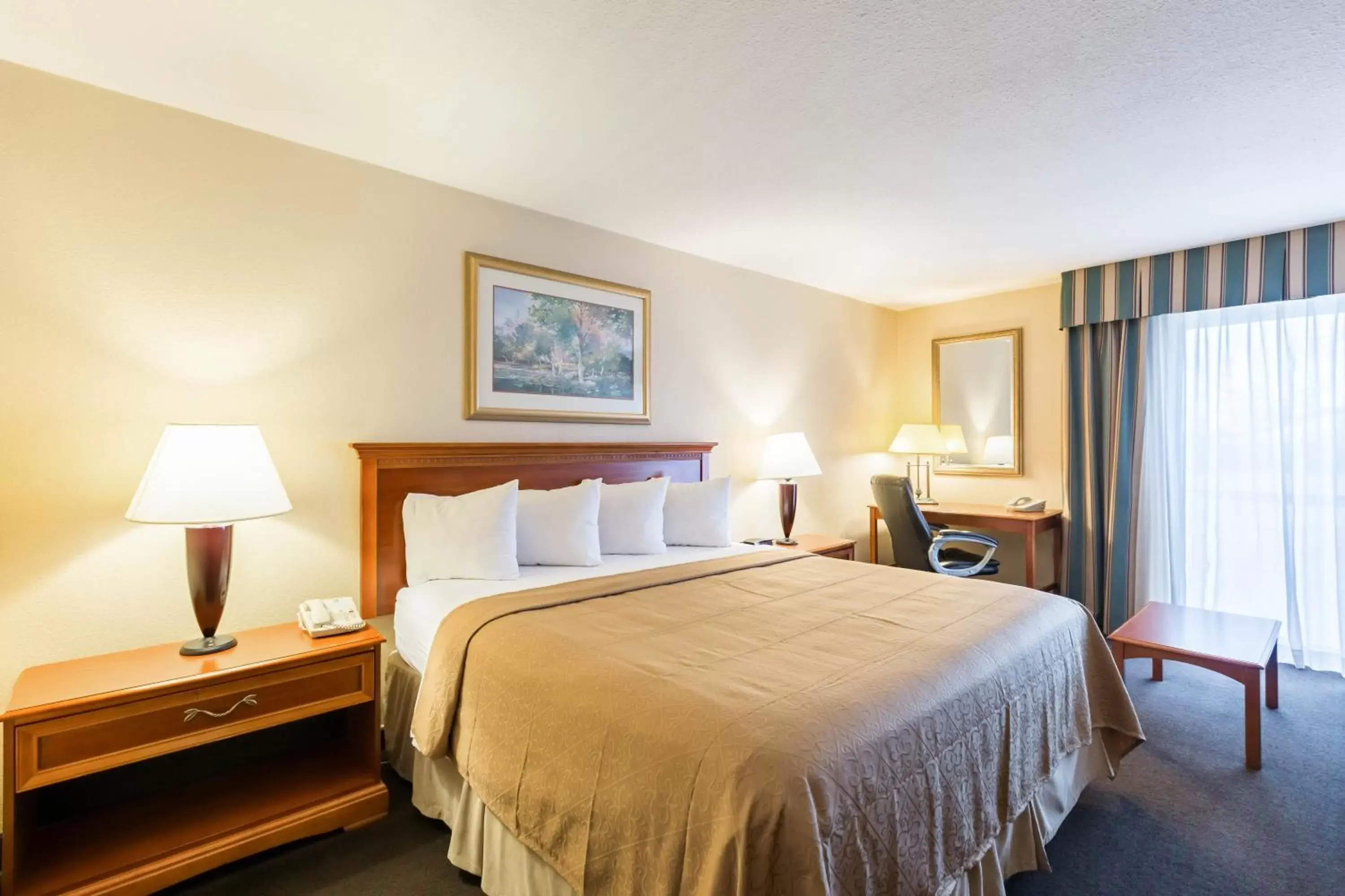 King Room with Sofa Bed - Non-Smoking in Quality Inn and Conference Center I-80 Grand Island