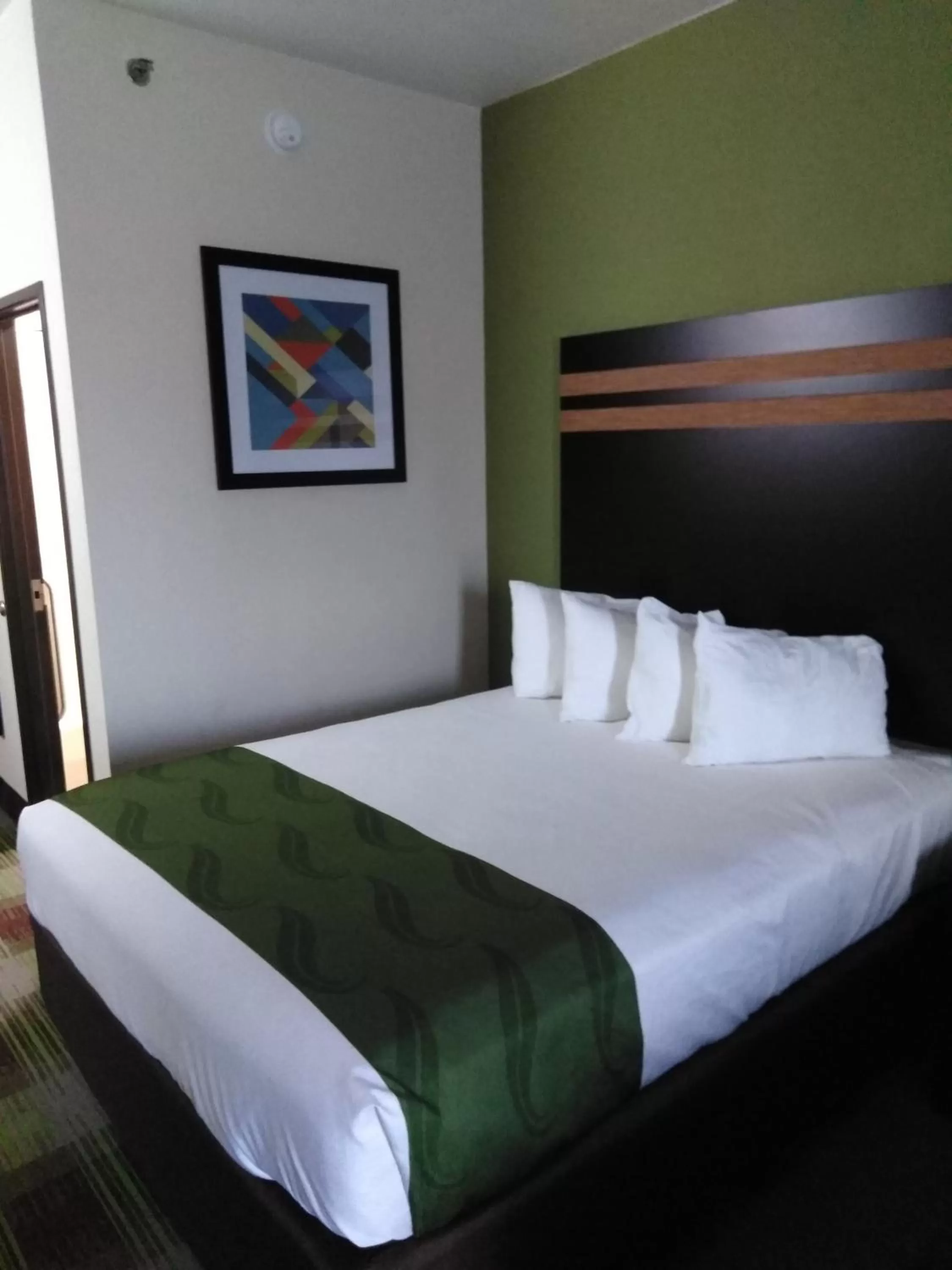 Bedroom in Quality Inn & Suites Mount Vernon