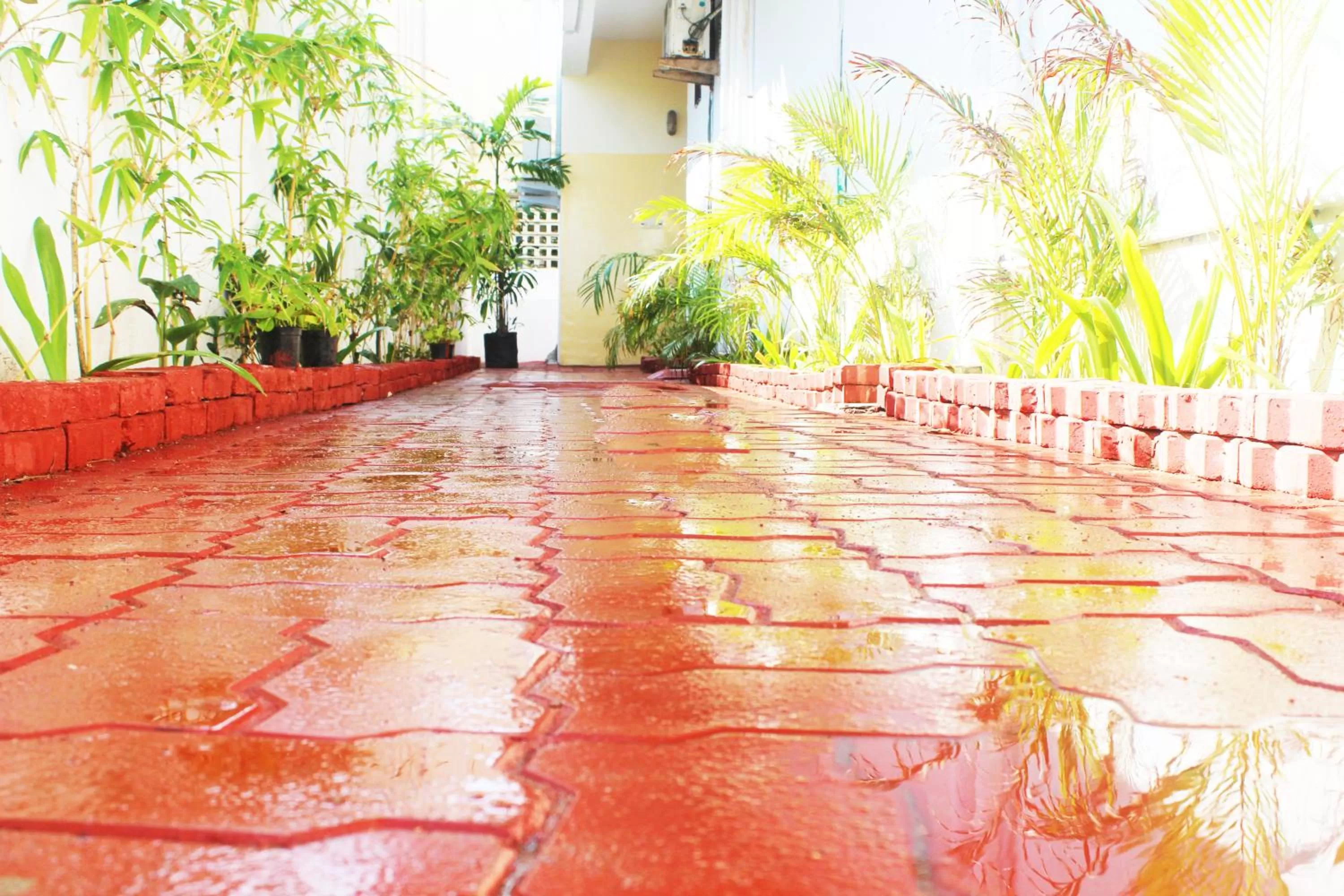 Garden in Kolam Elliots Beach