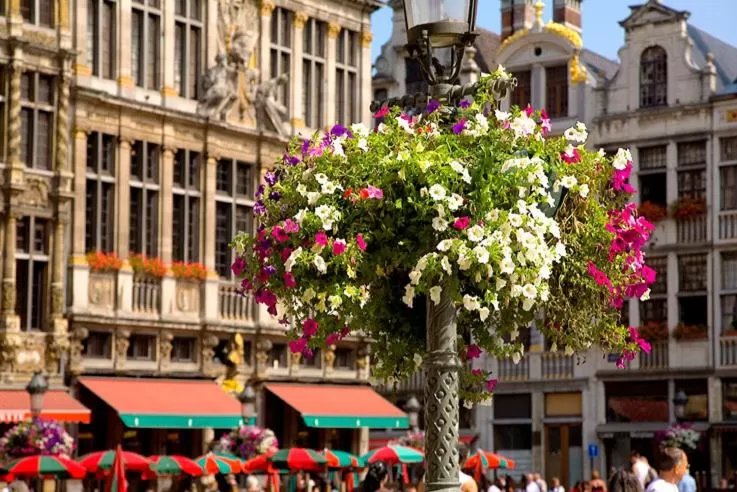 Area and facilities in Sun Hotel