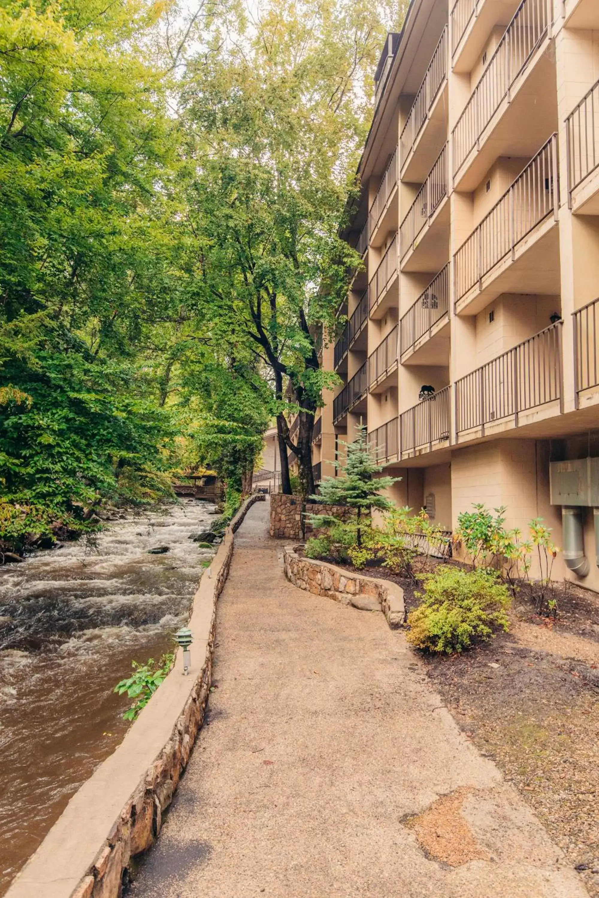 River view in Brookside Lodge