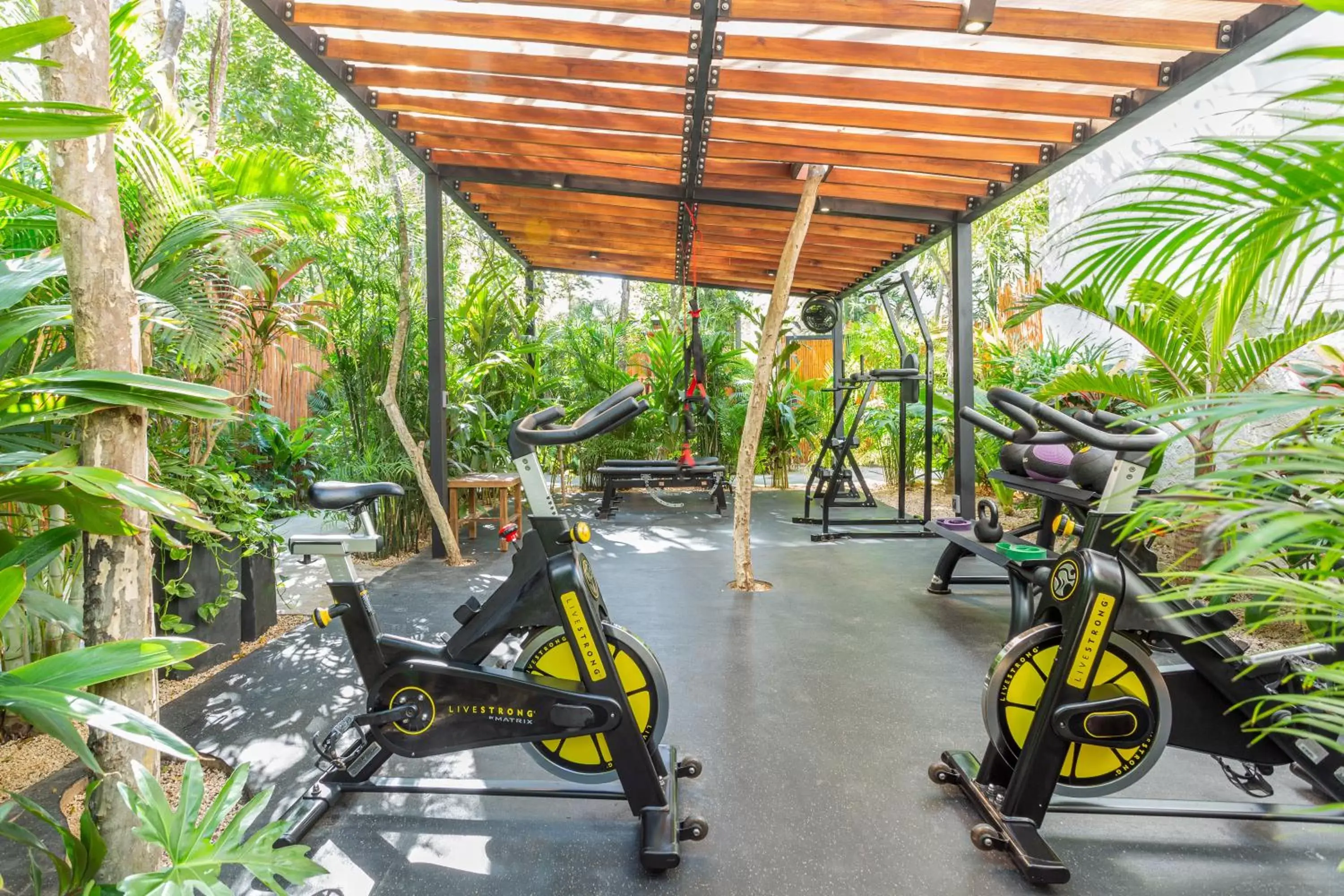 Day, Fitness Center/Facilities in Atman Residences Tulum Hotel