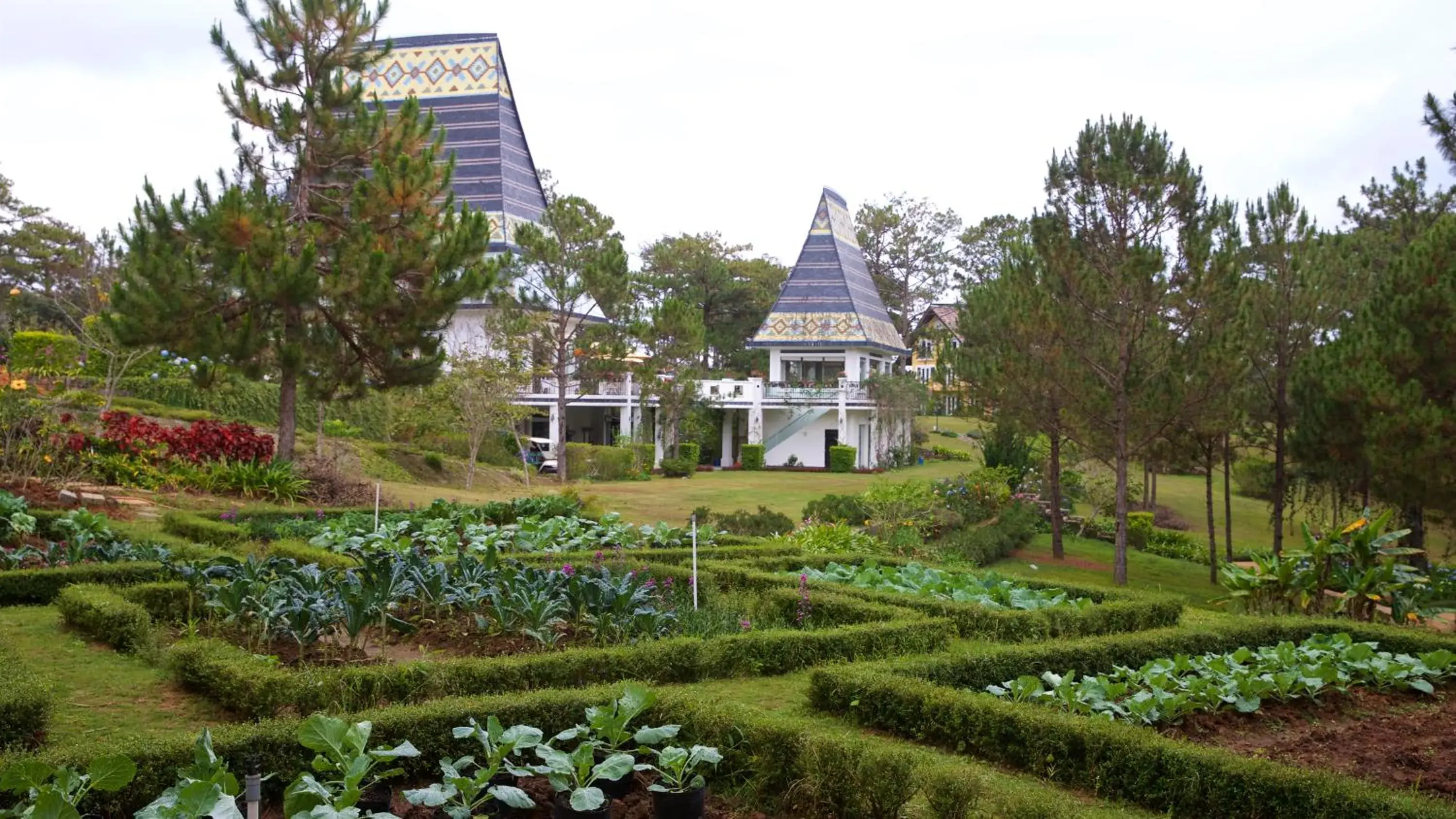 Garden, Property Building in Binh An Village Resort