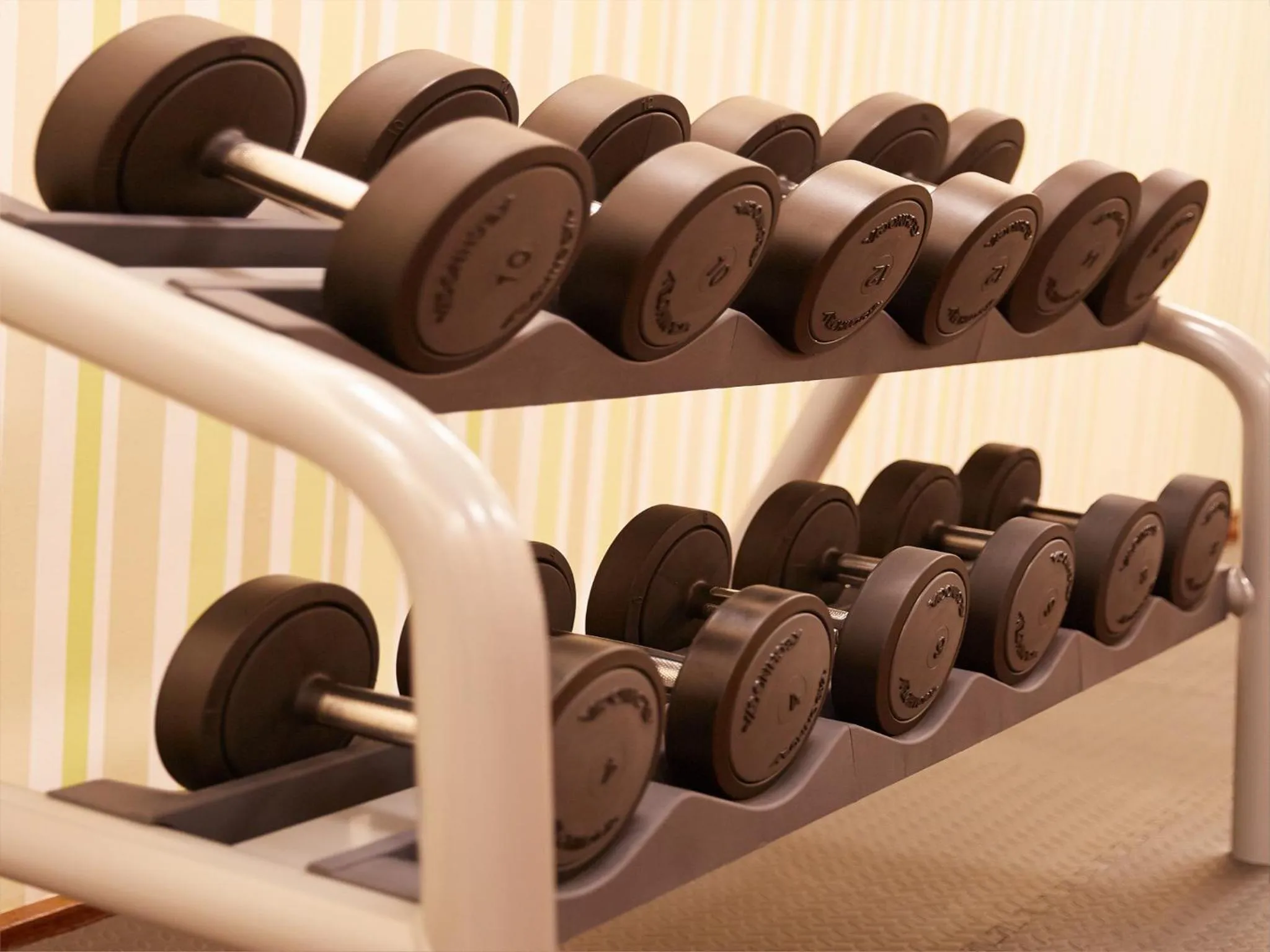 Fitness centre/facilities in Hotel Ego