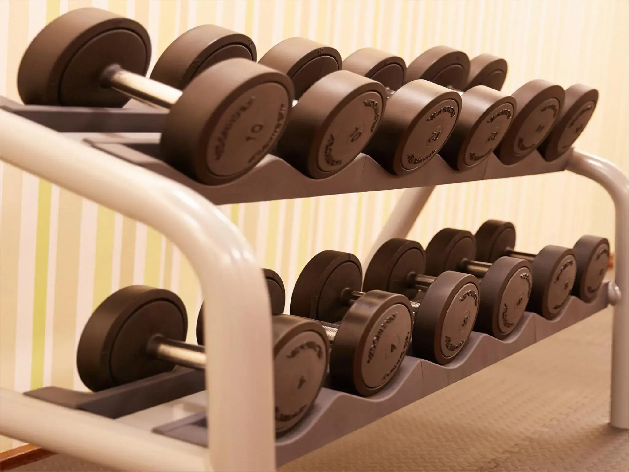 Fitness centre/facilities, Fitness Center/Facilities in Hotel Ego