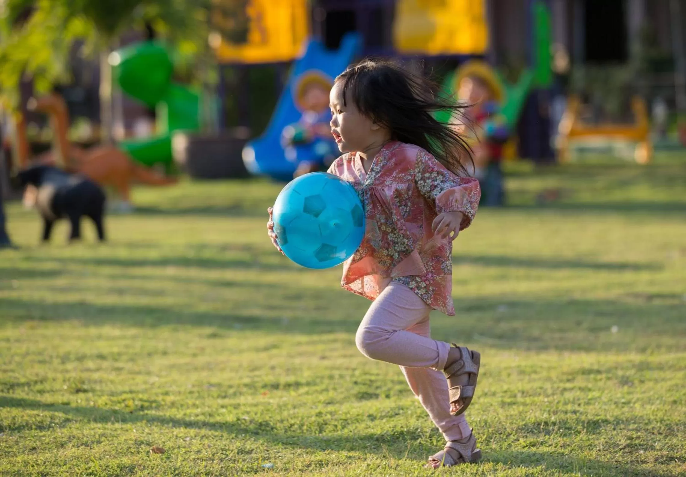 Garden in Phanomrungpuri Hotel Buriram