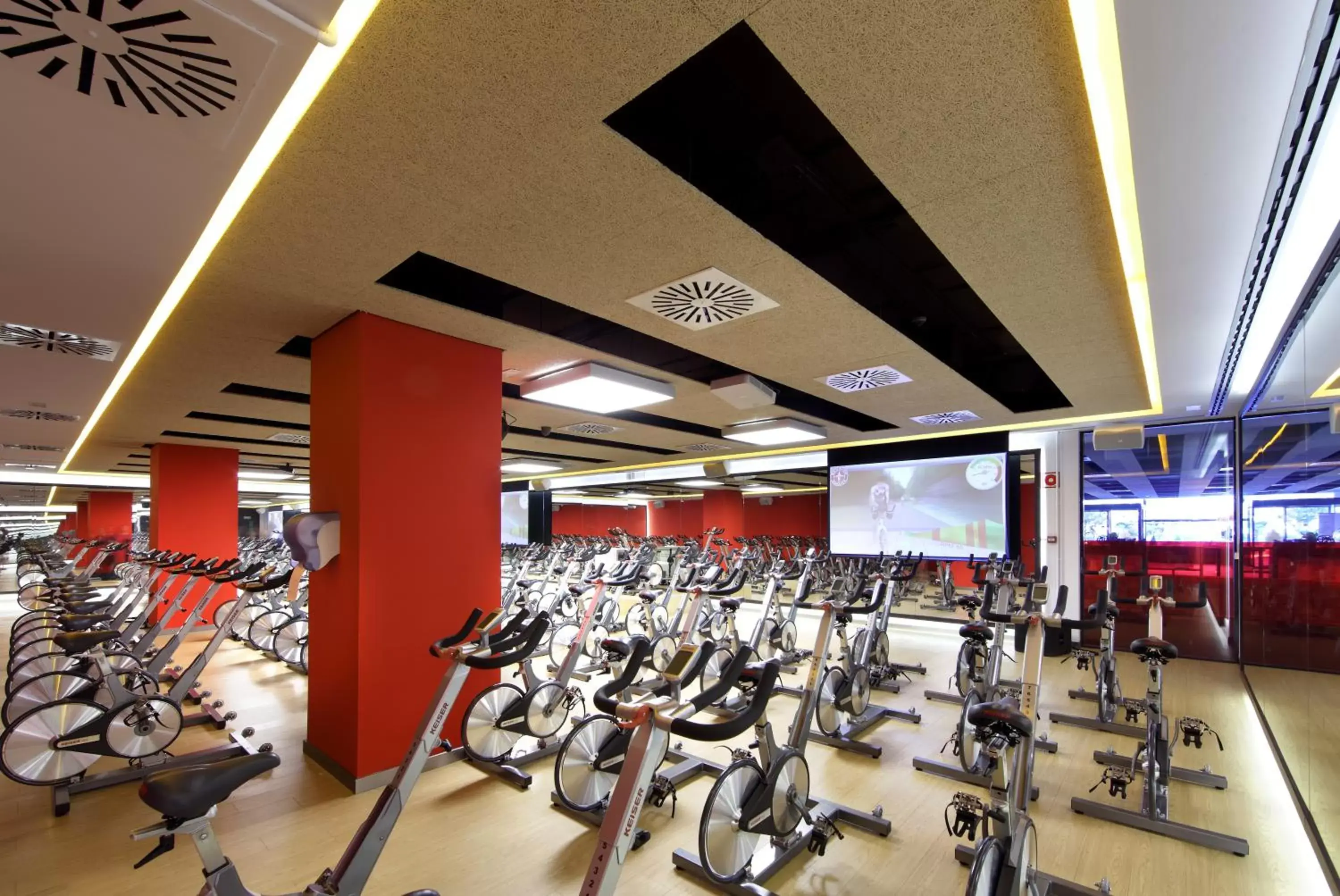 Fitness centre/facilities, Fitness Center/Facilities in Occidental Bilbao
