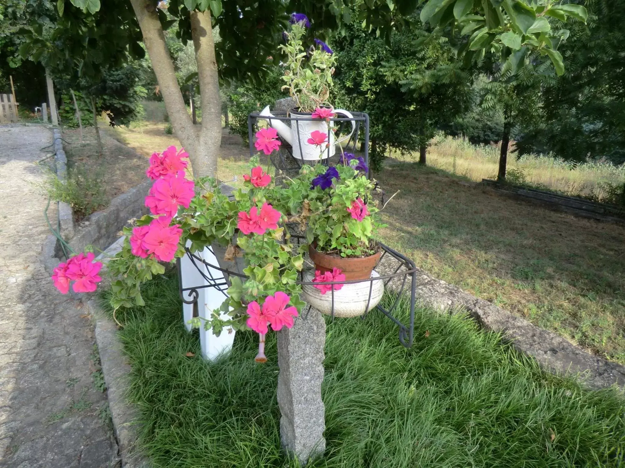 Garden in VianasHome