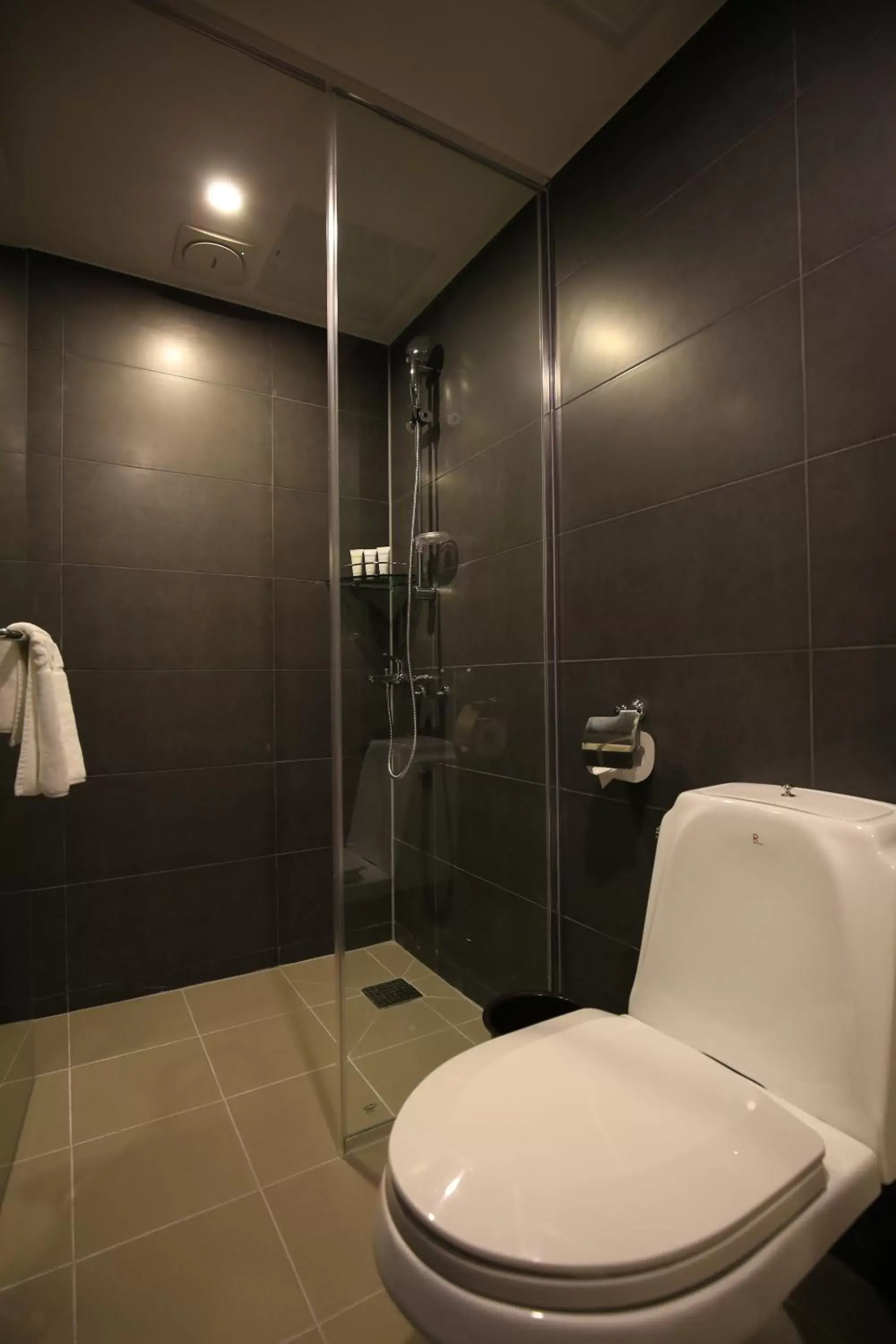 Shower, Bathroom in Best Western Jeju Hotel