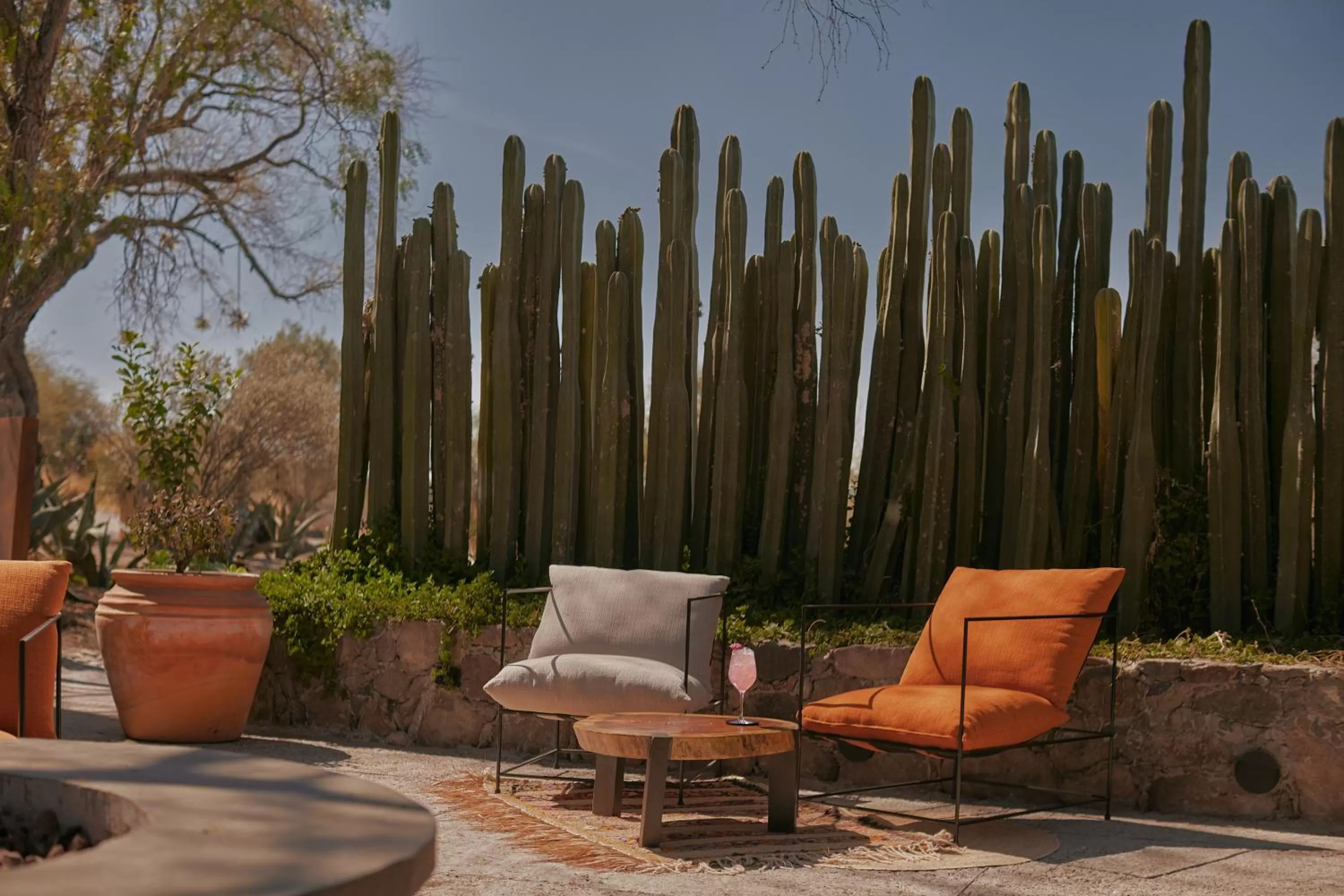 Restaurant/places to eat in Our Habitas San Miguel de Allende