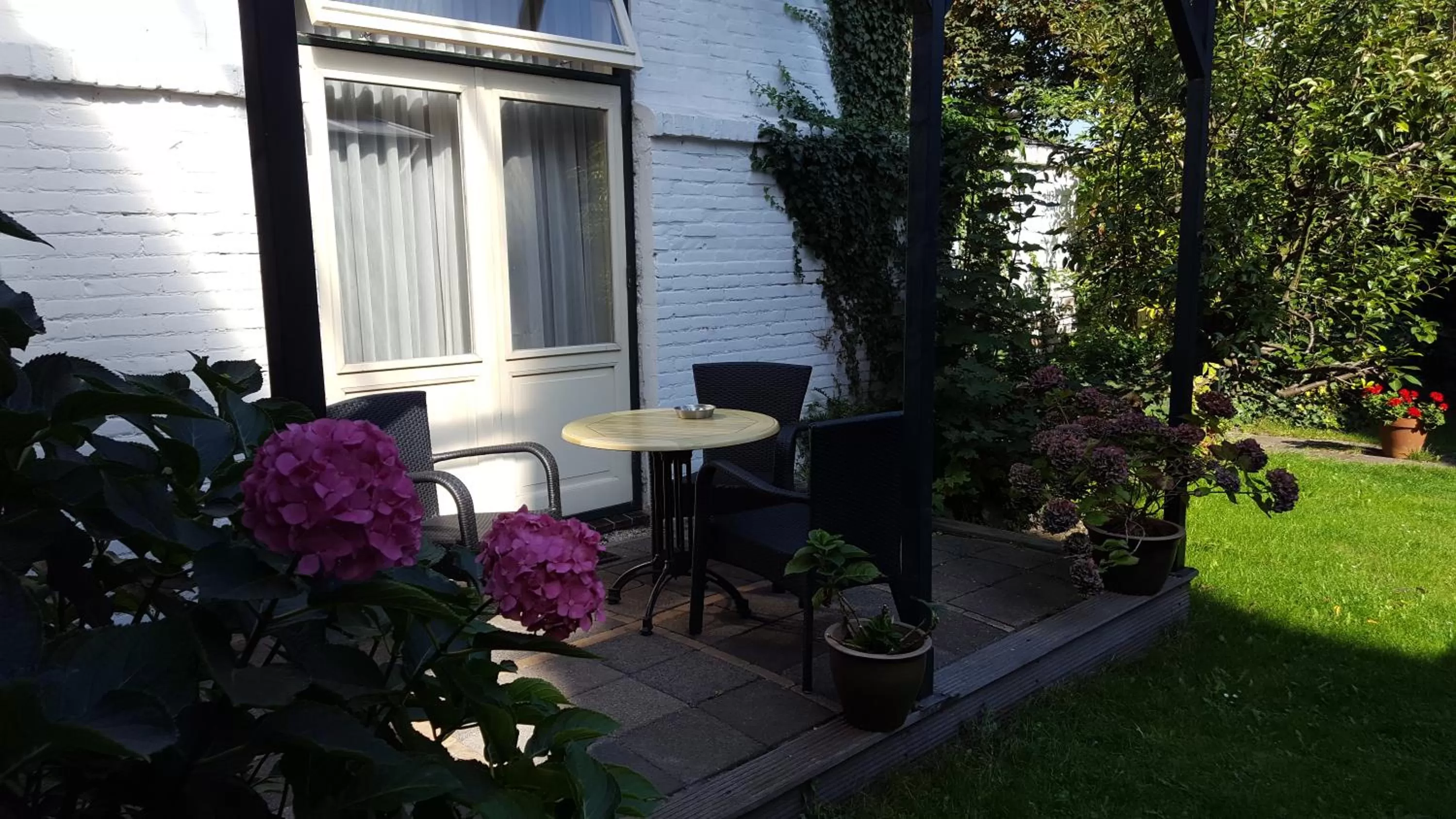 Garden in Hotel Kuiperduin