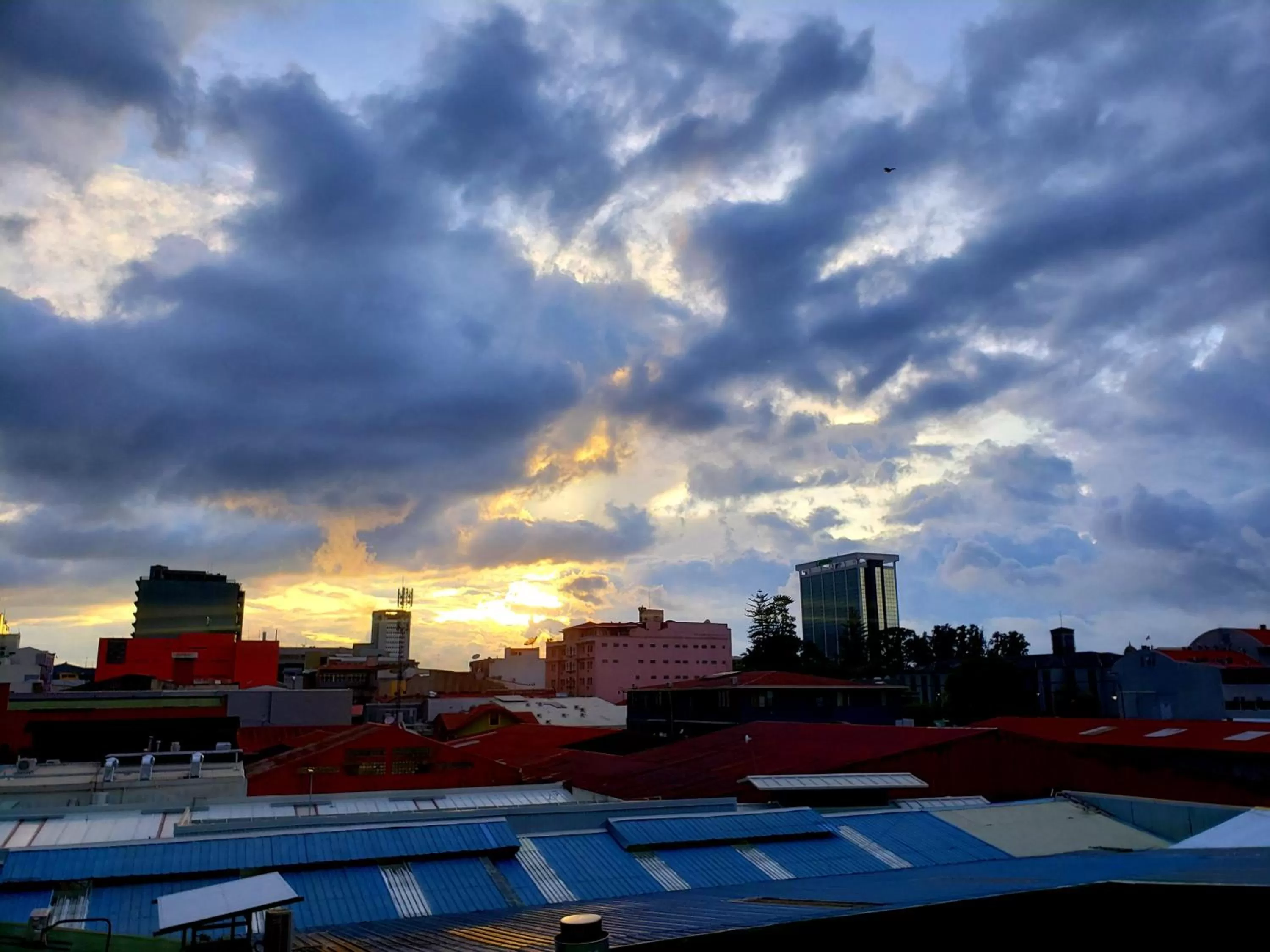 City view in Cando Living Apartments in Central Avenue