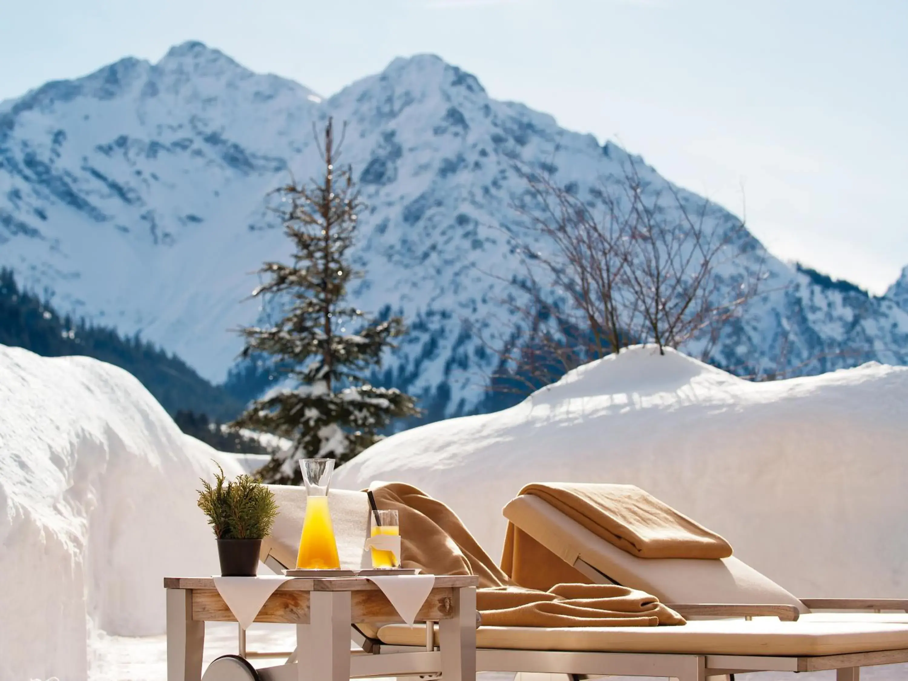 Garden, Winter in Travel Charme Ifen Hotel Kleinwalsertal