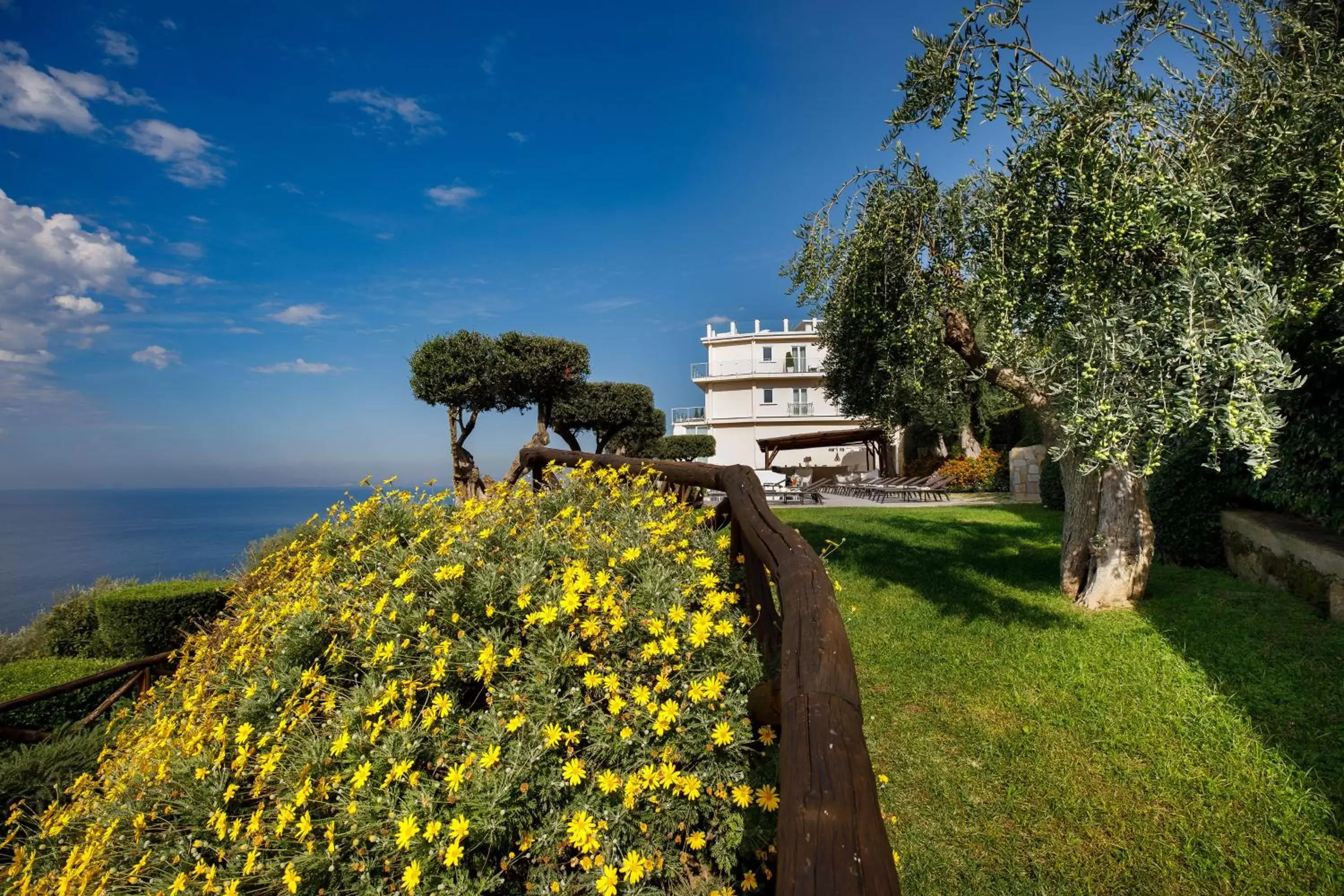 Garden in Villa Fiorella Art Hotel