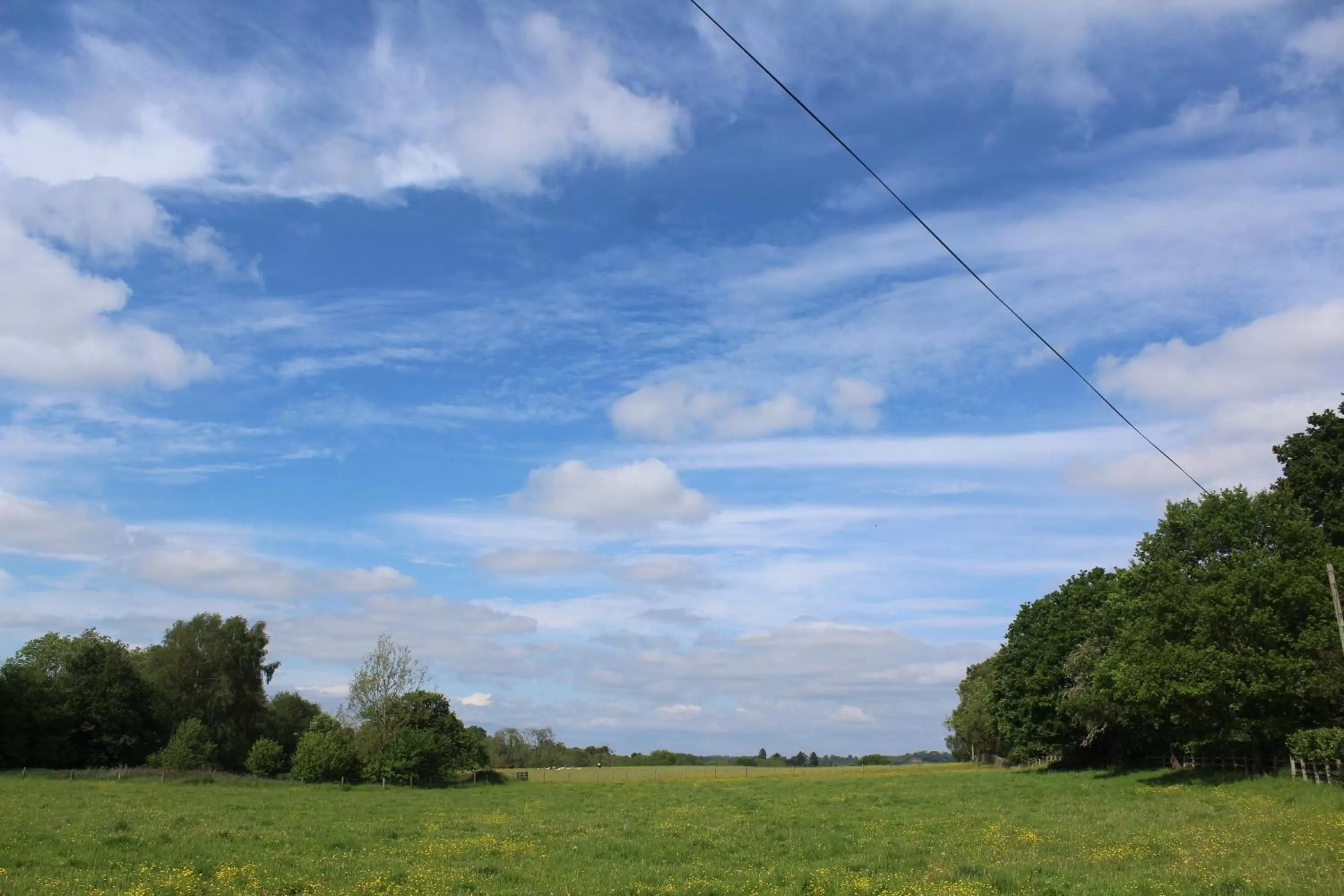 Natural landscape in Halfway House Inn & Cottages