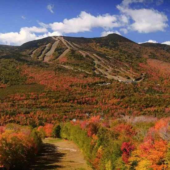 Mountain view in Snowy Owl Inn