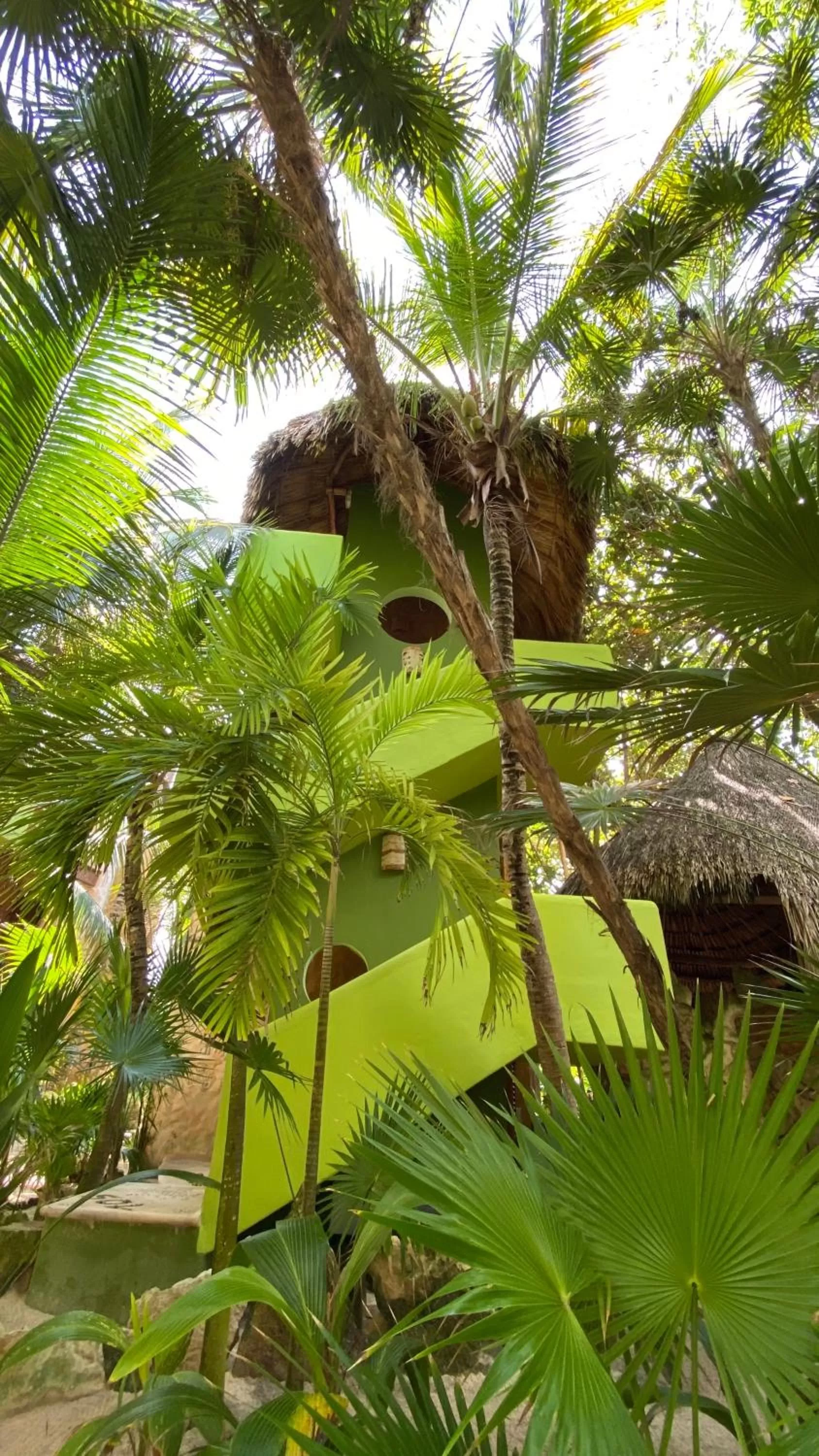 Property building, Garden in Sueños Tulum