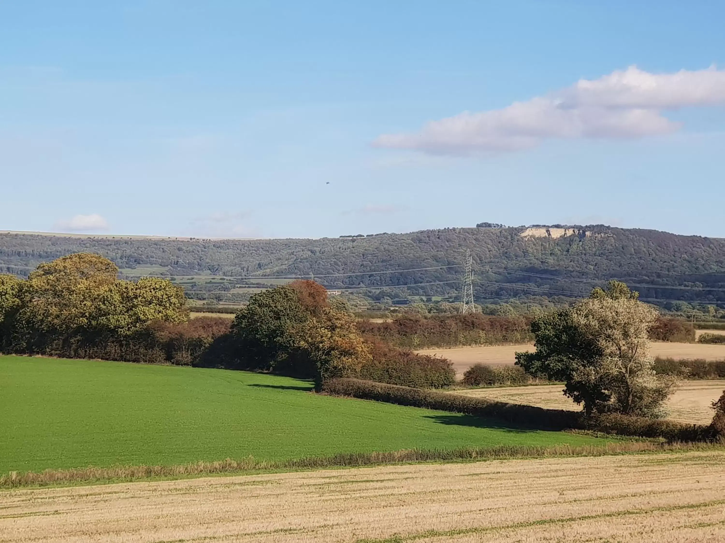 Natural landscape in OYO White Horse Lodge Hotel, East Thirsk