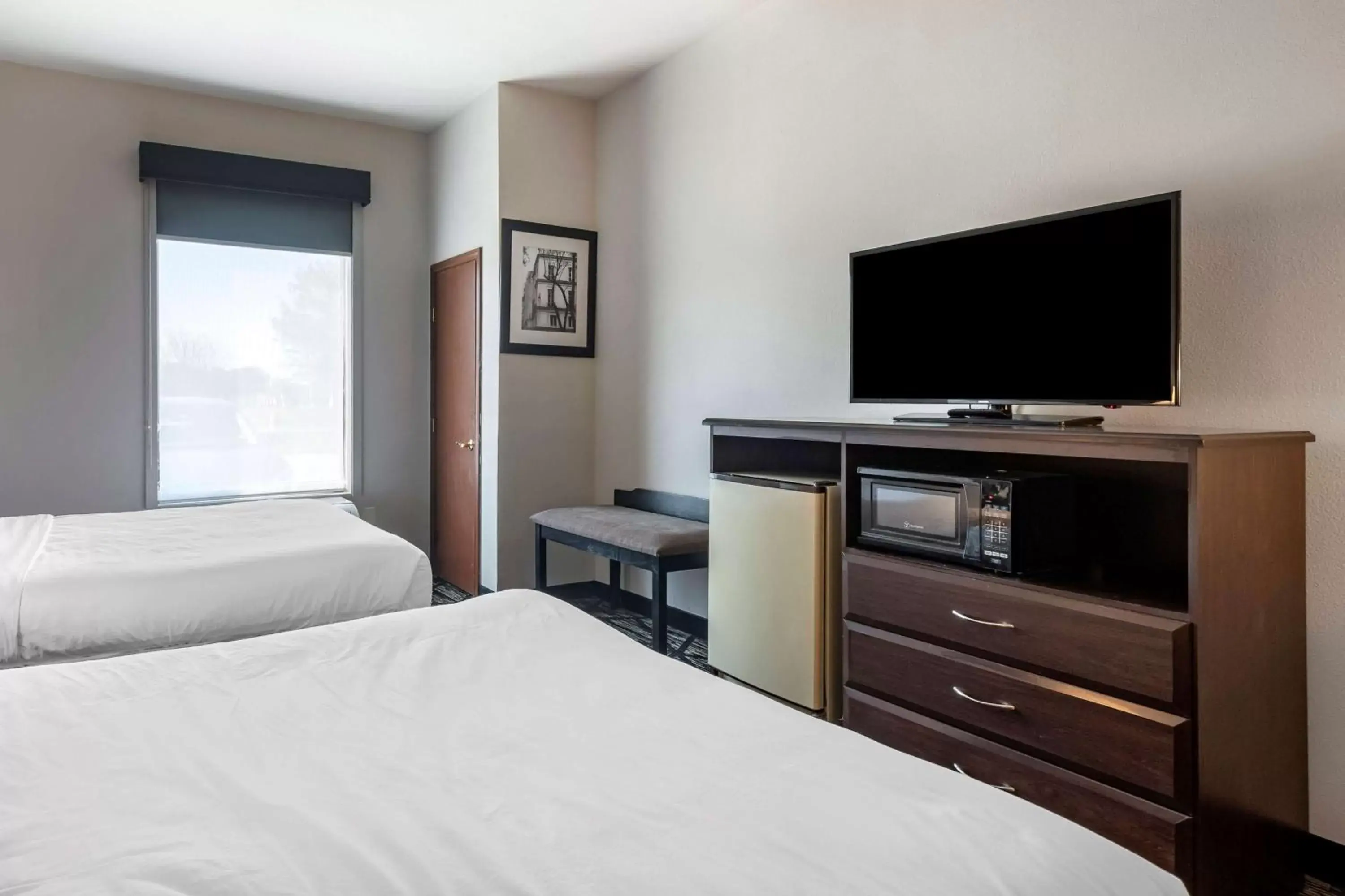 Bed in Best Western Plus McKinney Inn and Suites