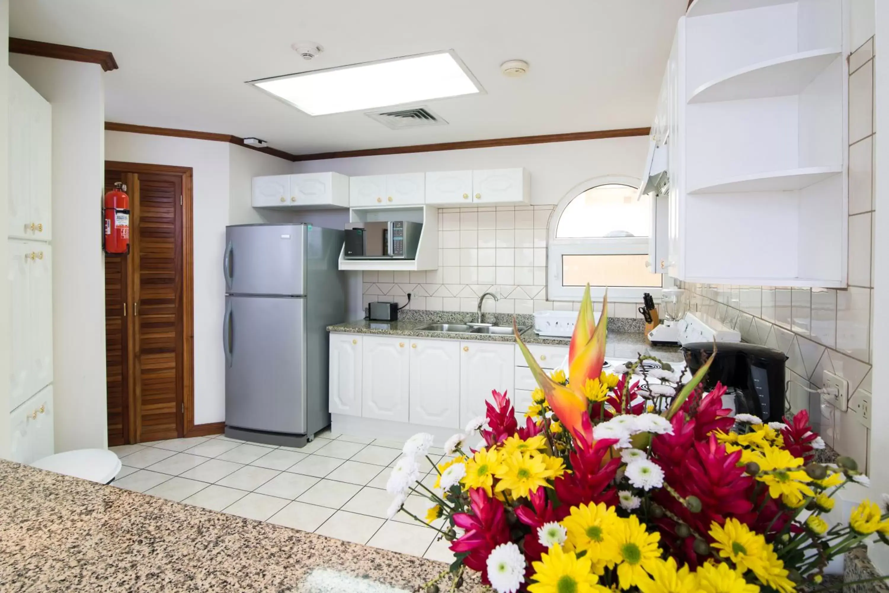 Kitchen or kitchenette, Kitchen/Kitchenette in Apartotel & Suites Villas del Rio