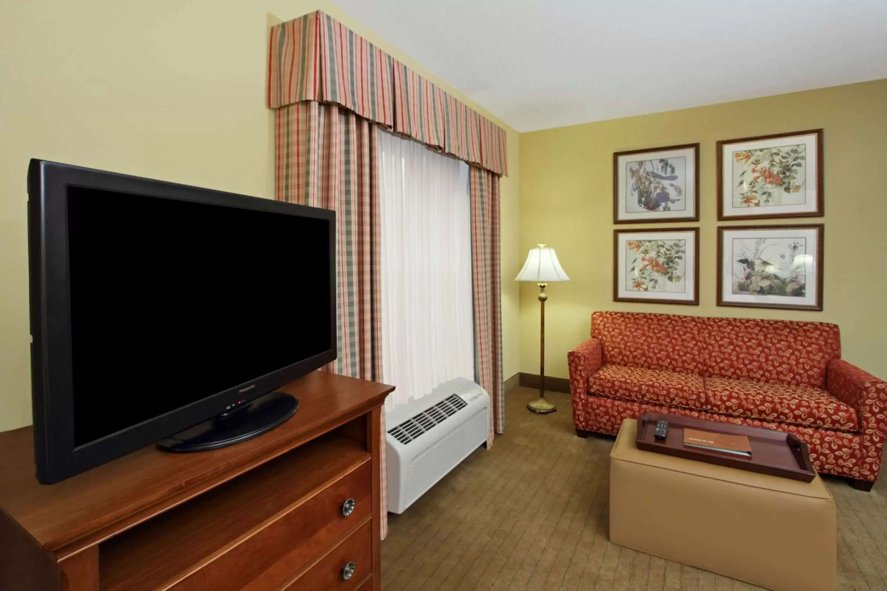 View (from property/room), TV/Entertainment Center in Homewood Suites by Hilton Chesapeake - Greenbrier