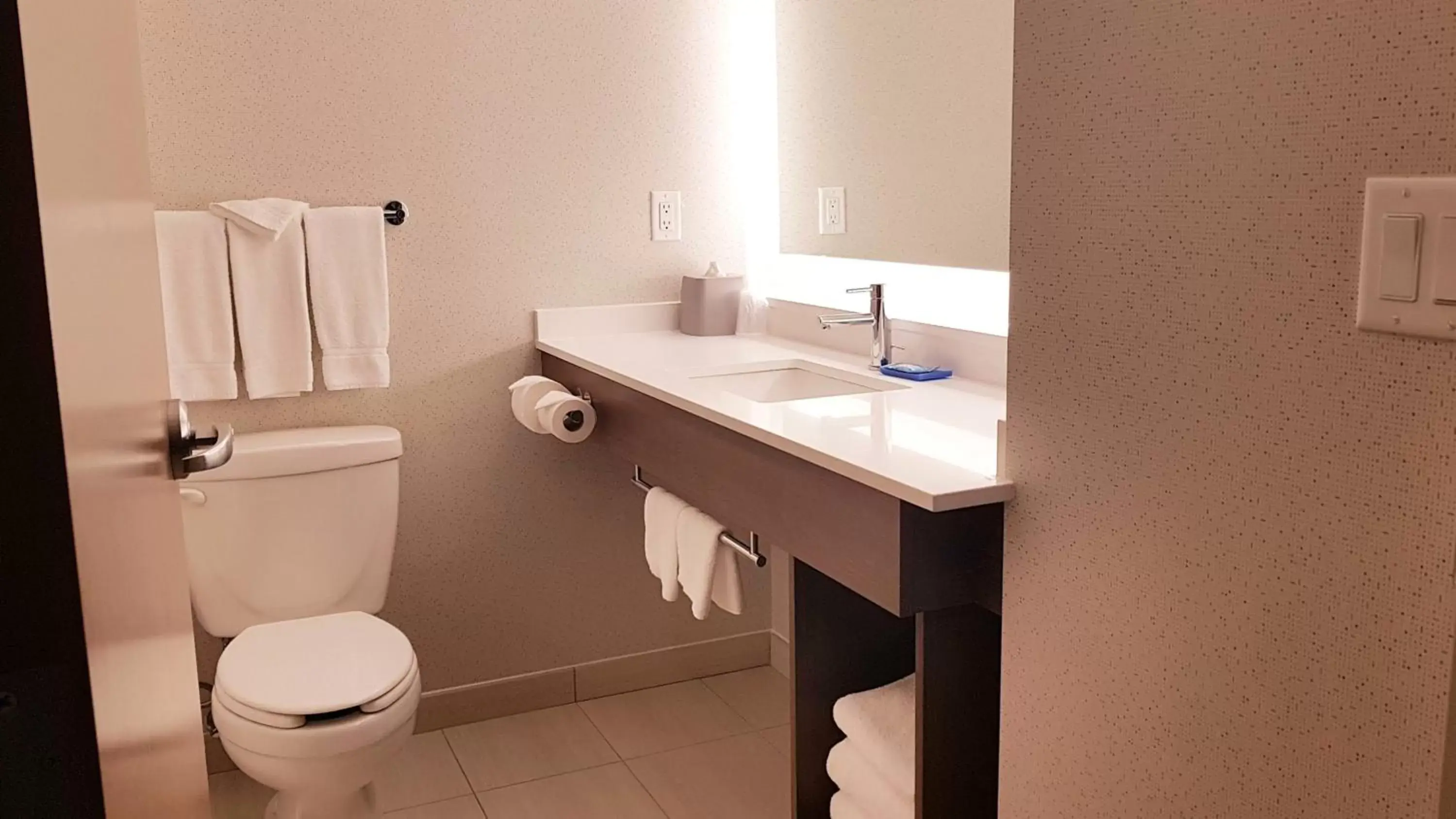 Bathroom in Holiday Inn Express and Suites Surrey, an IHG Hotel