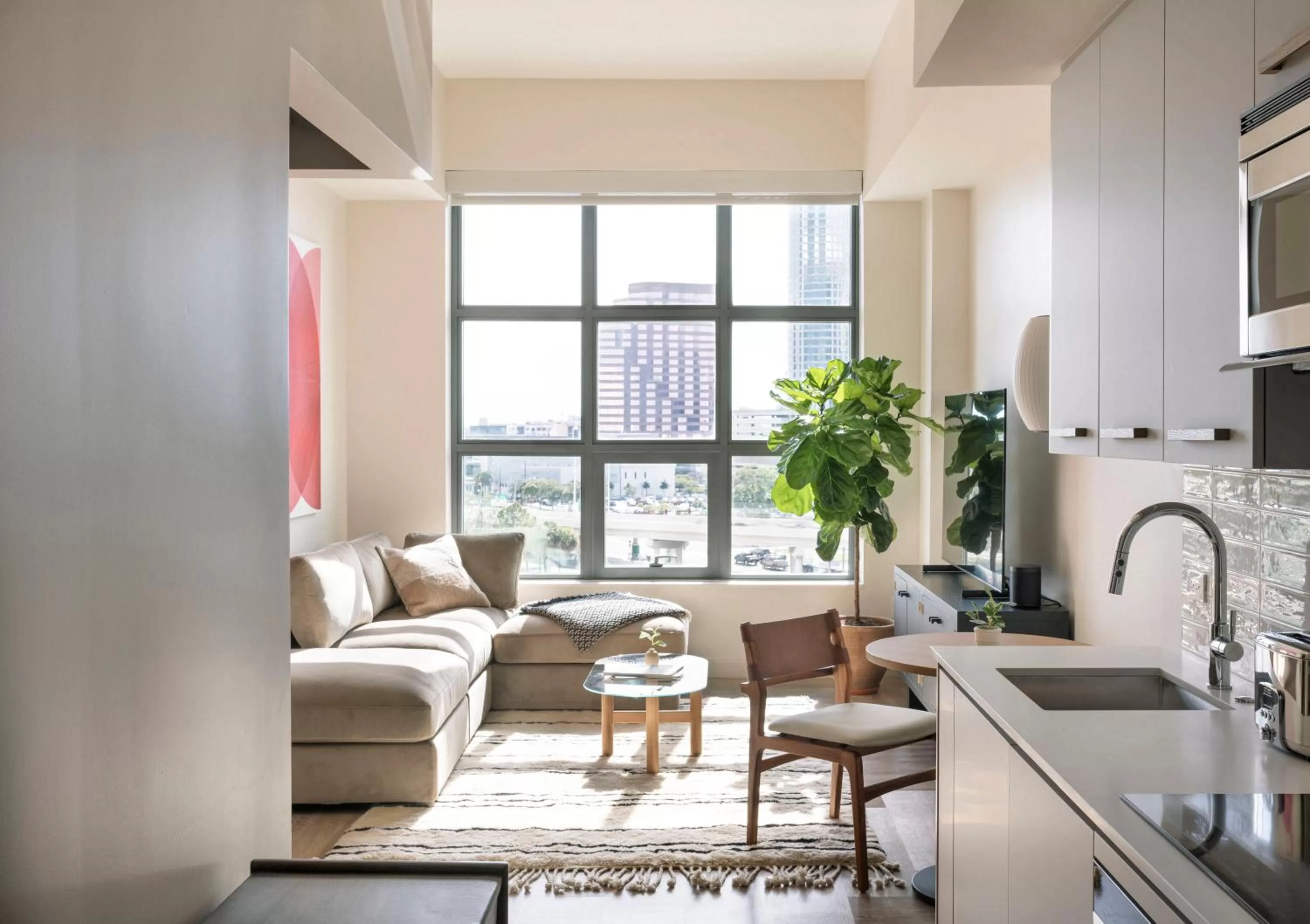 TV and multimedia in ROOST Tampa