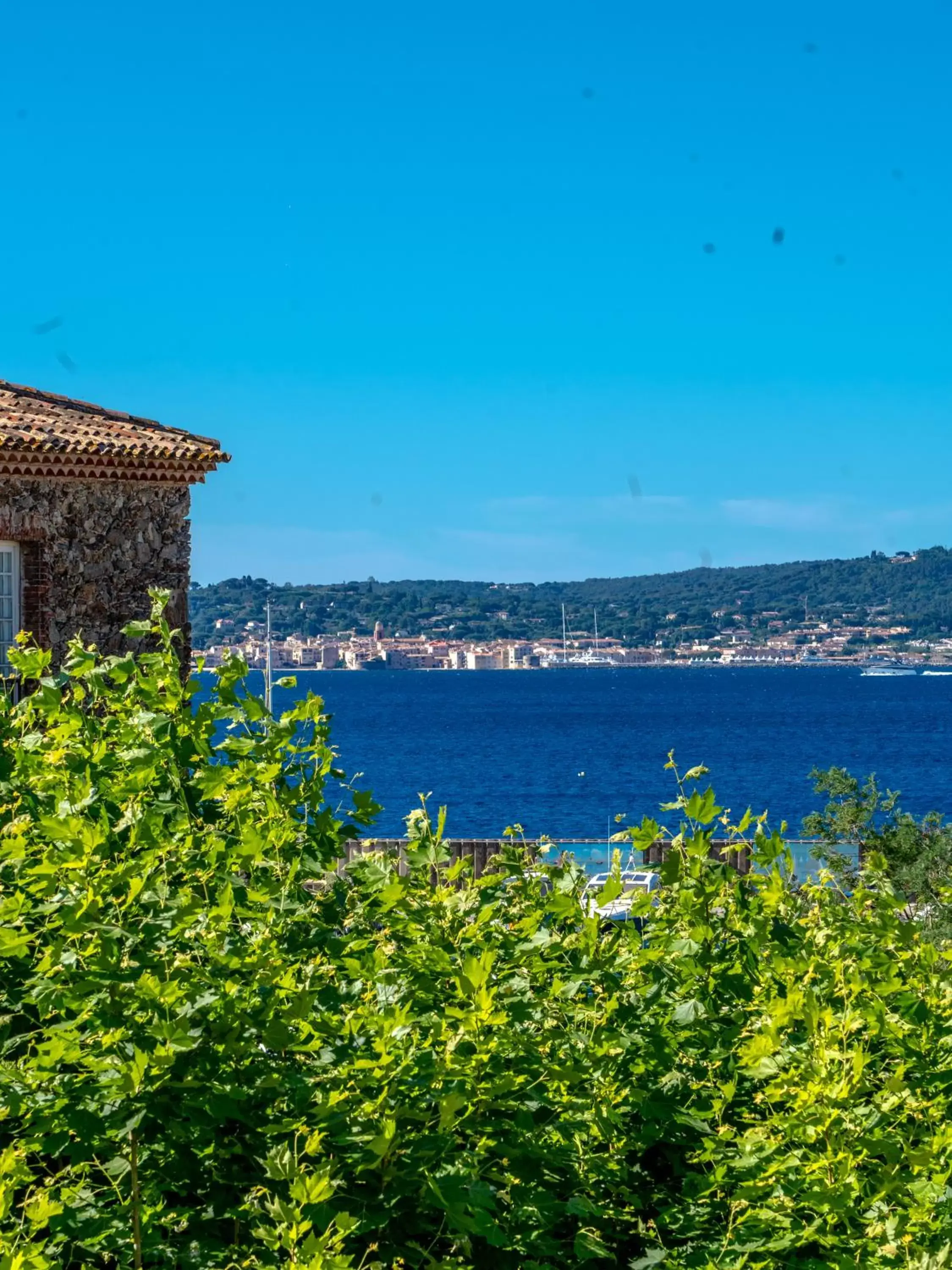 View (from property/room) in Hotel Les Palmiers