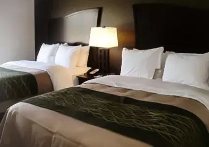 Queen Room with Two Queen Beds - Non-Smoking in Comfort Inn & Suites Woodward Queen Room with Two Queen Beds - Non-Smoking in Comfort Inn & Suites Woodward