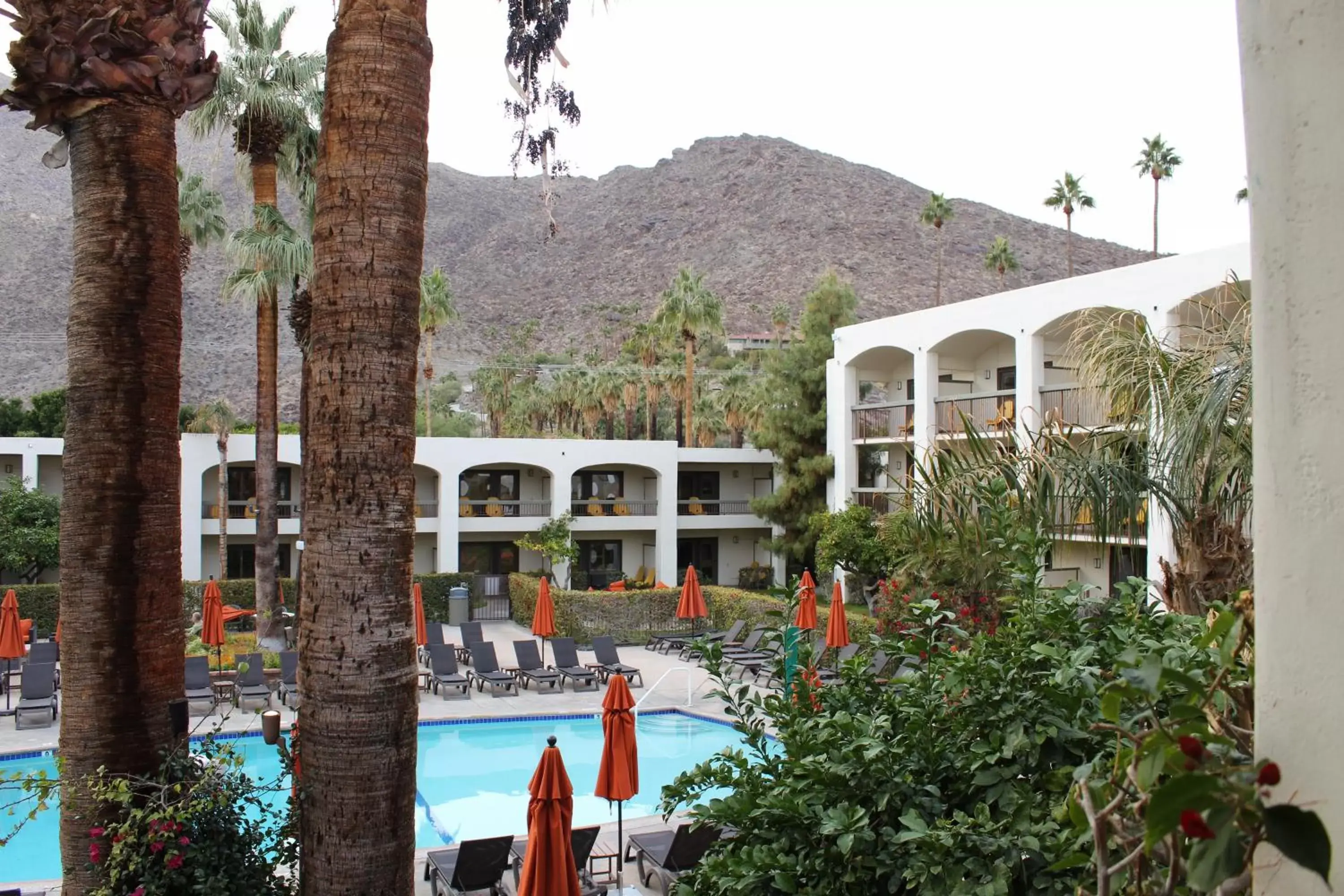 Swimming Pool in Palm Mountain Resort & Spa