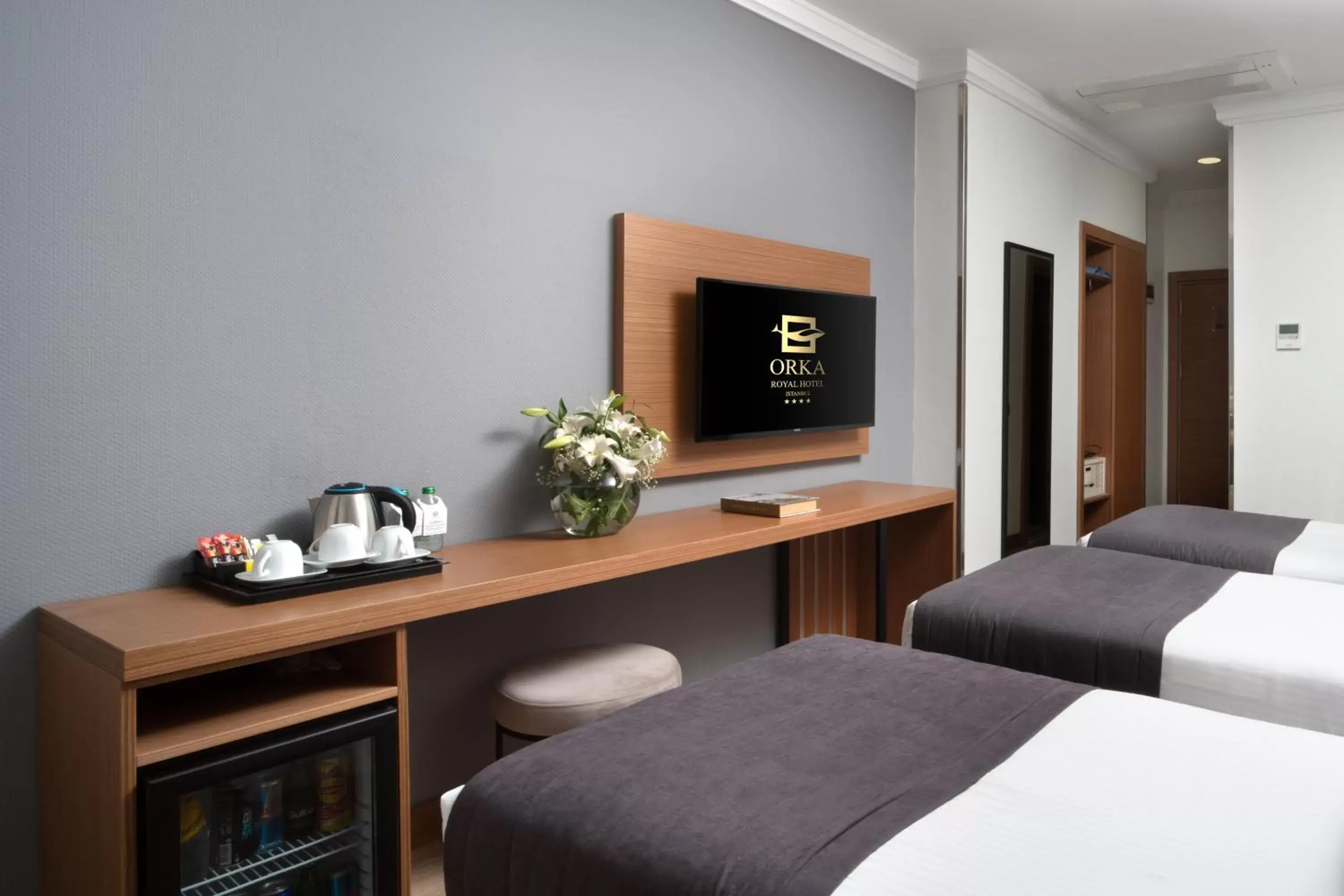 Bedroom, TV/Entertainment Center in Orka Royal Hotel & Spa