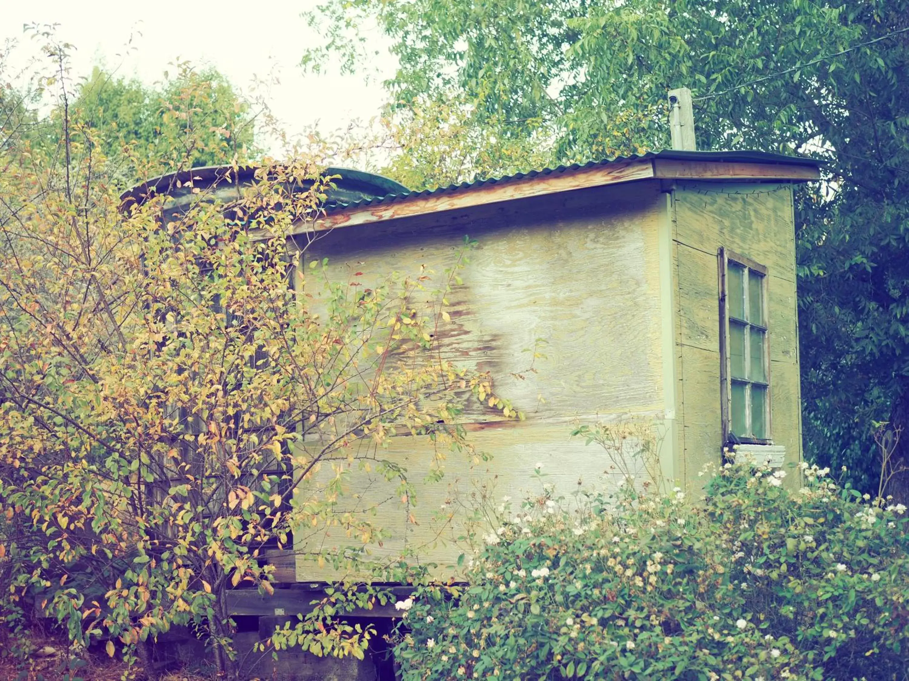 Property Building in Mine and Farm, The Inn at Guerneville, CA