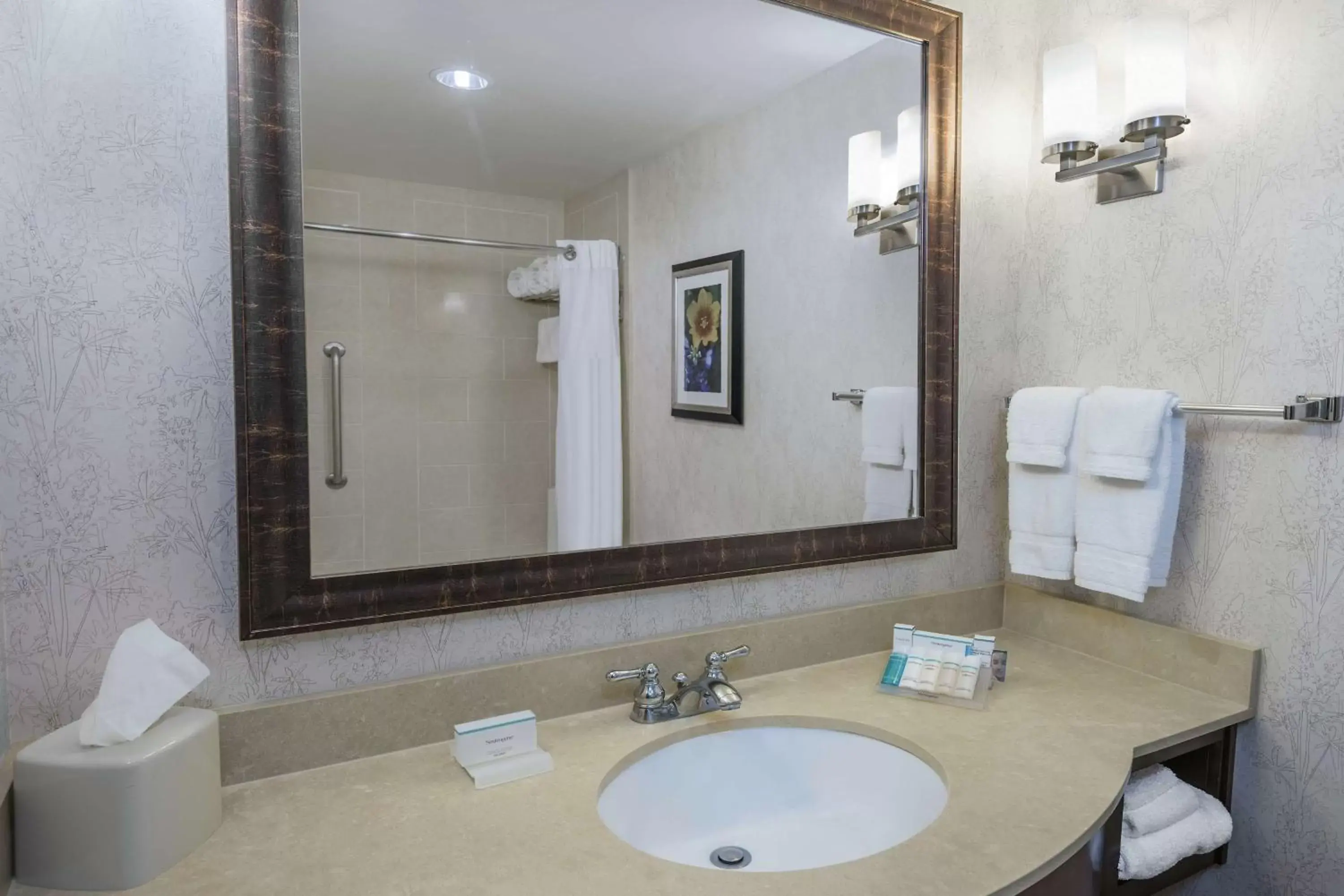 Bathroom in Hilton Garden Inn San Antonio/Rim Pass Drive