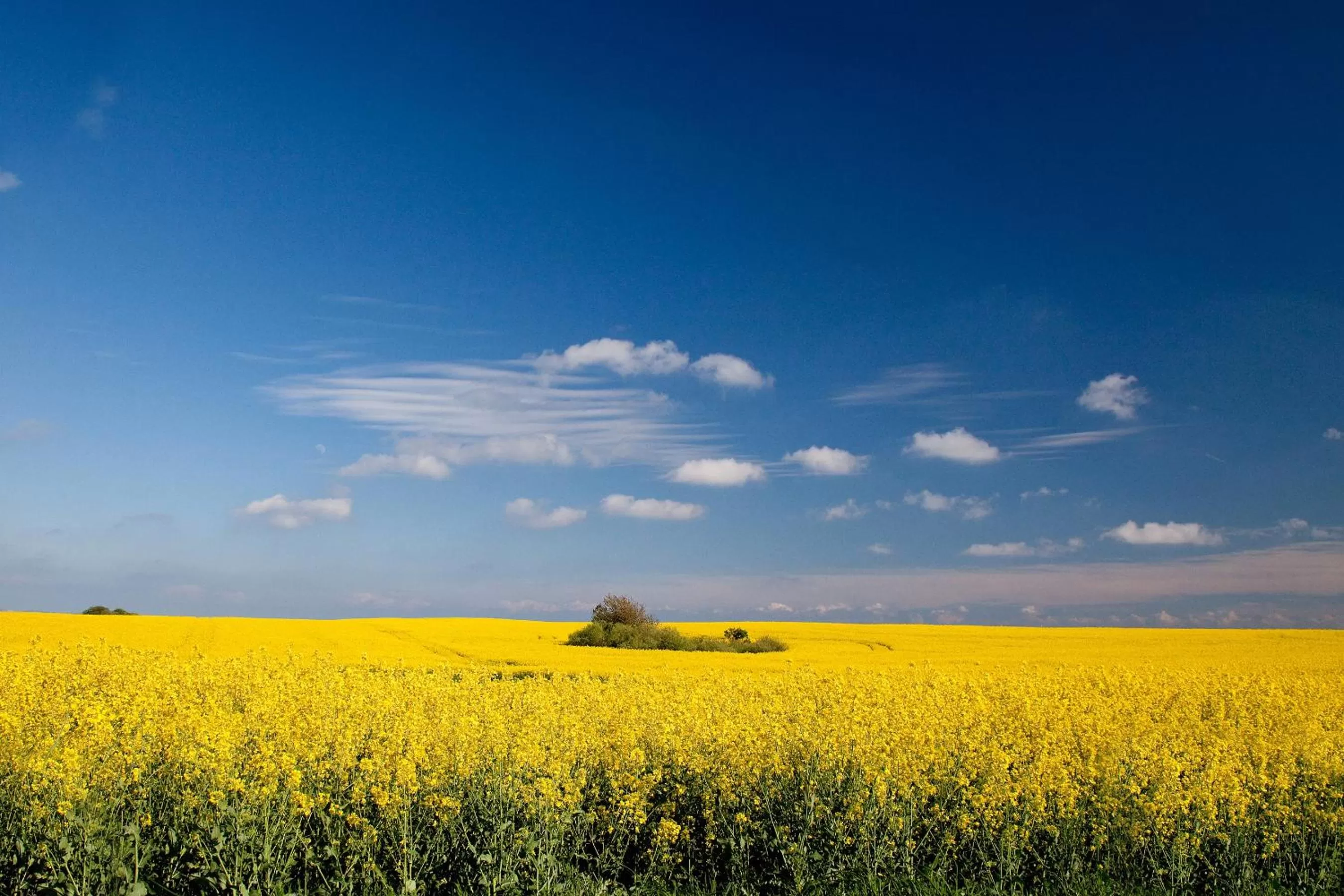 Hiking in Hotel Villa Neander