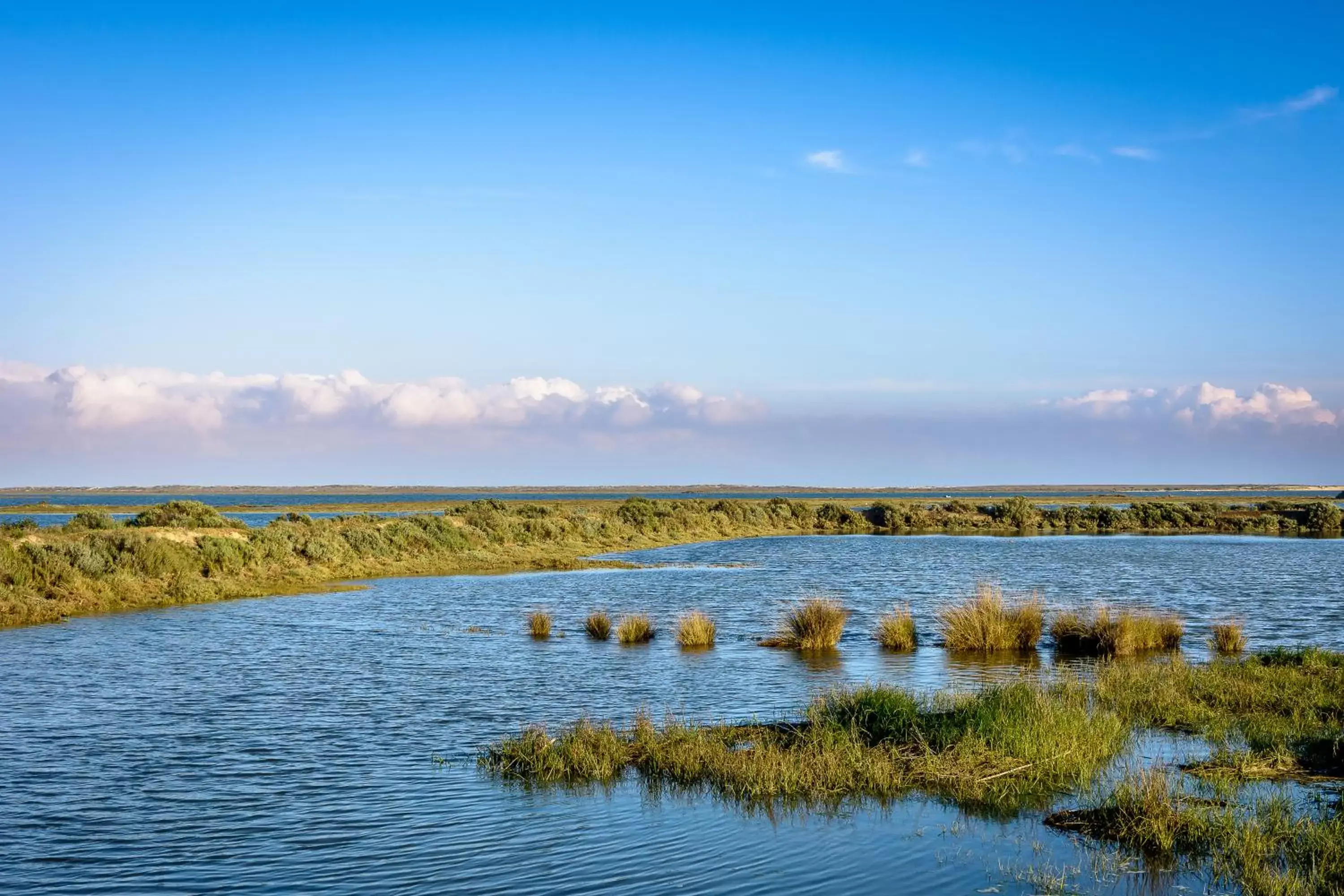 Bird's eye view in Pedras D'el Rei Bird's eye view in Pedras D'el Rei