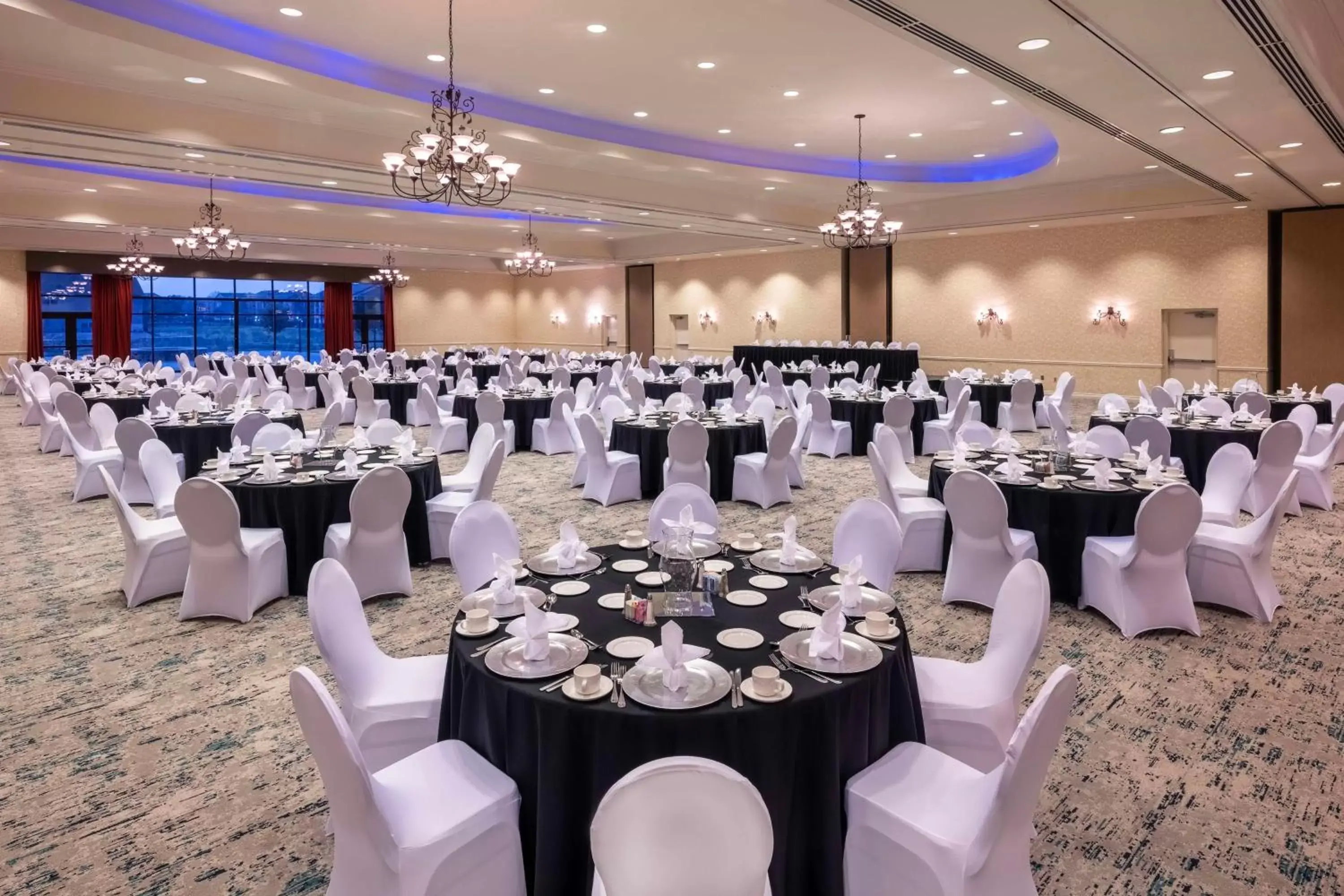 Meeting/conference room, Banquet Facilities in Hilton Garden Inn Dallas Lewisville