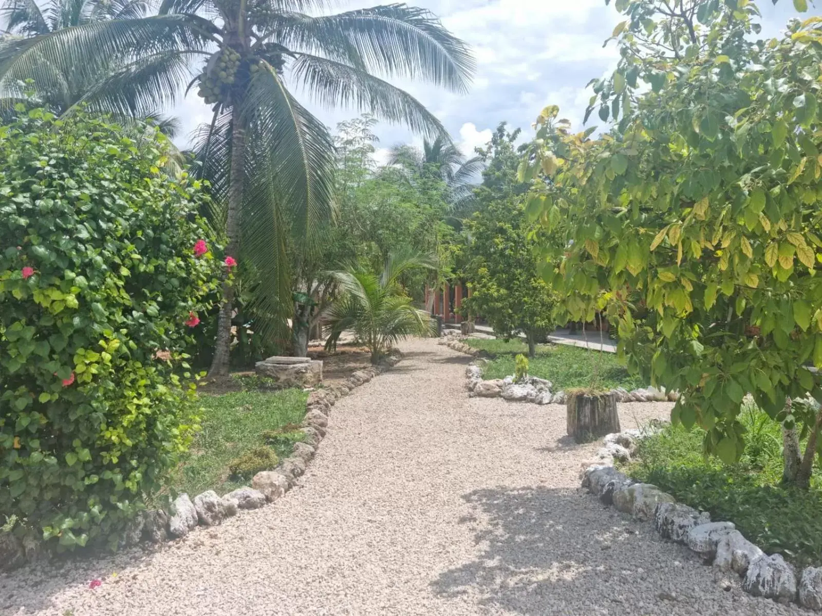 Garden in Bacalar Sunshine