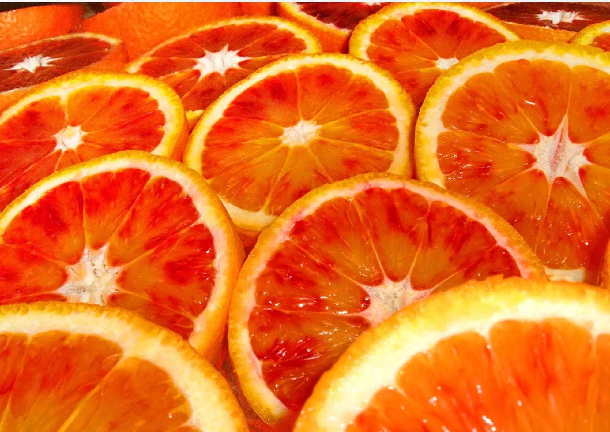 Breakfast in Museum Inn - Una finestra sui Musei Vaticani