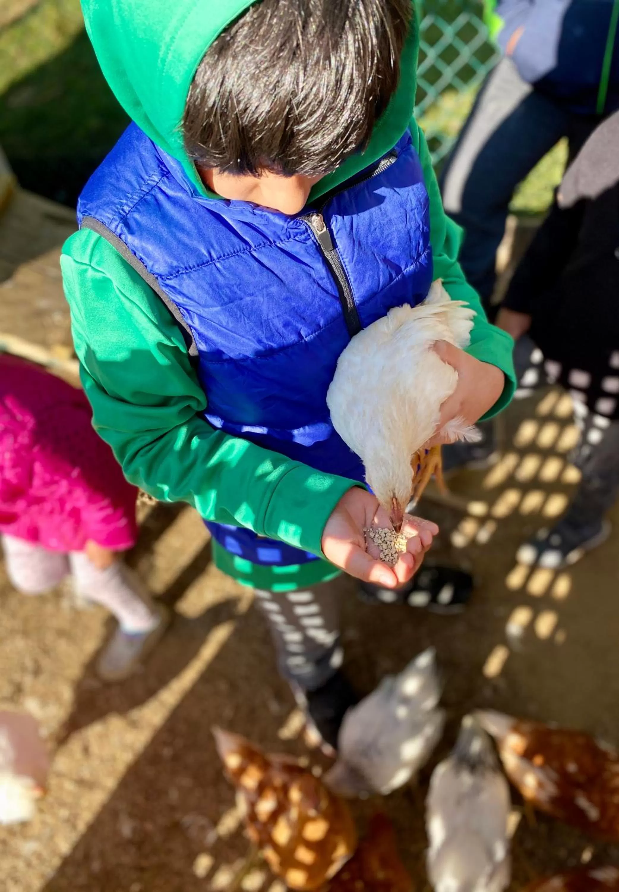 Arcady Mountain Motor Lodge