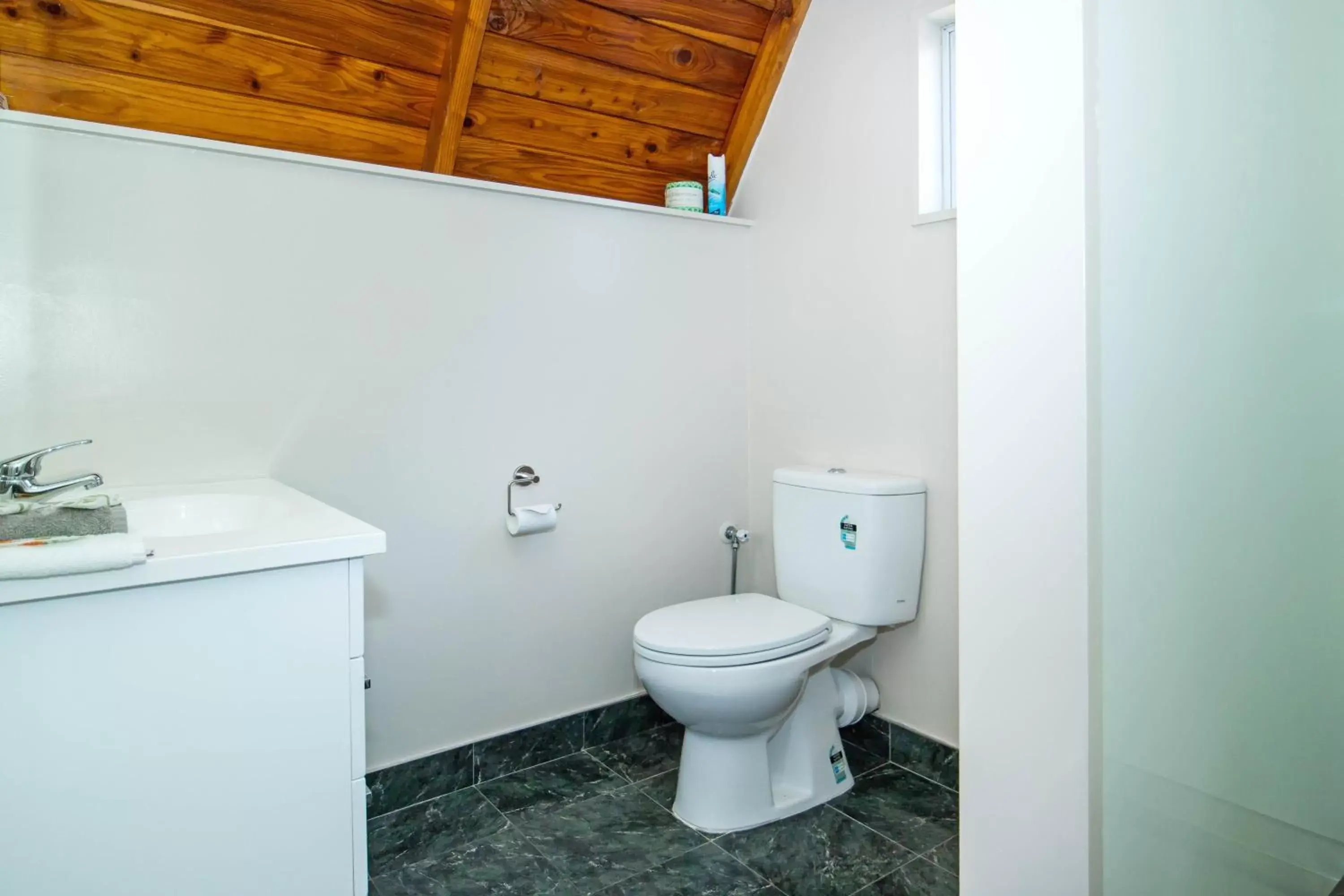 Bathroom in Mountain Chalets Motel