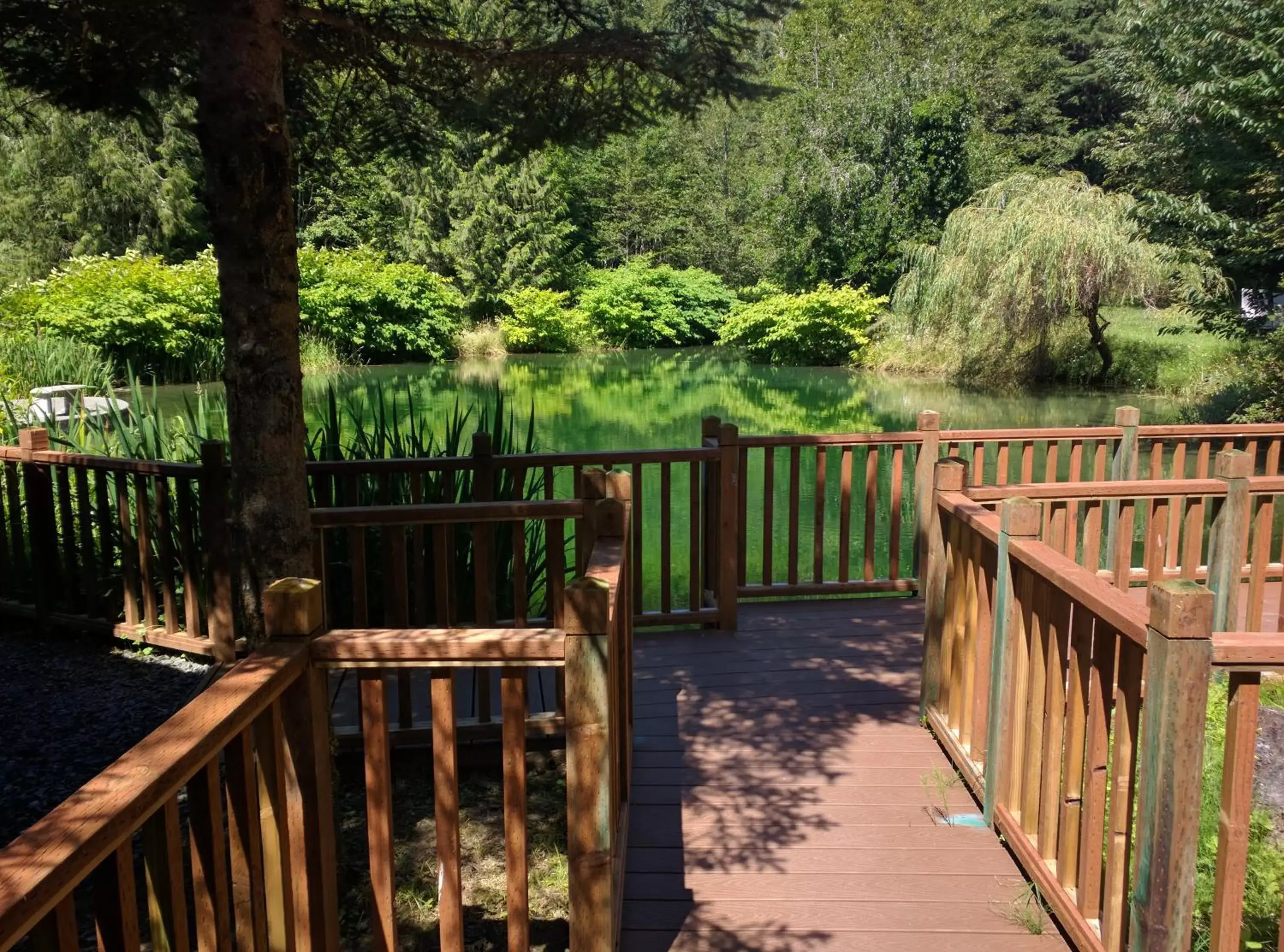 Balcony/Terrace in Alexander's Lodge