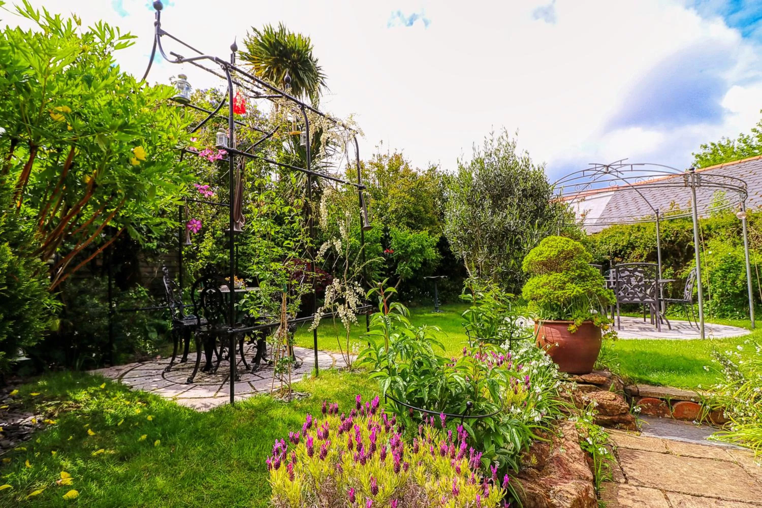 Property building, Garden in The Old Bookshop