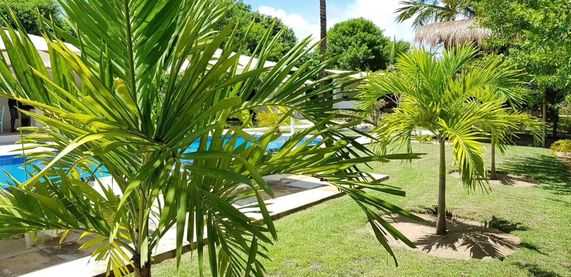 Garden in Pousada Villages Boutique Hotel - 150m da Praia da Laje